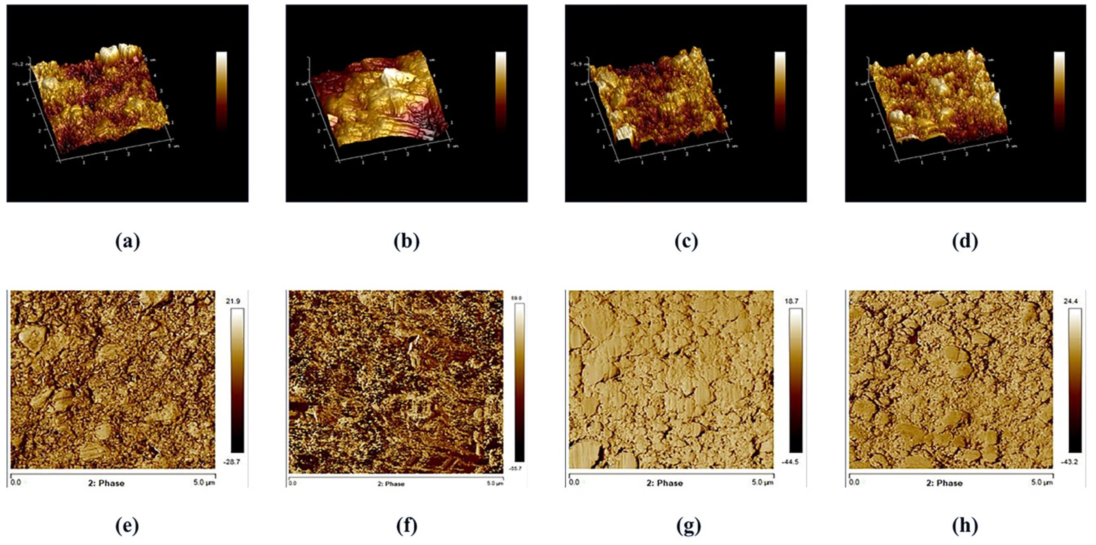 Applsci 10 08856 g004 Applsci 10 08856 g004