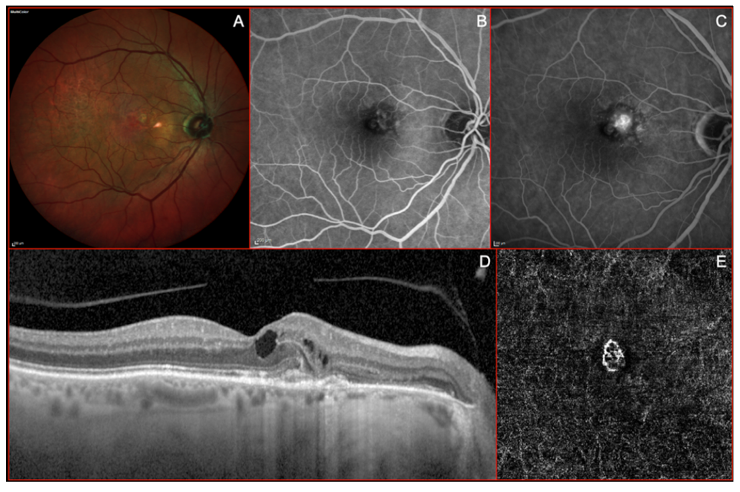 Applsci 10 08865 g002 Applsci 10 08865 g002