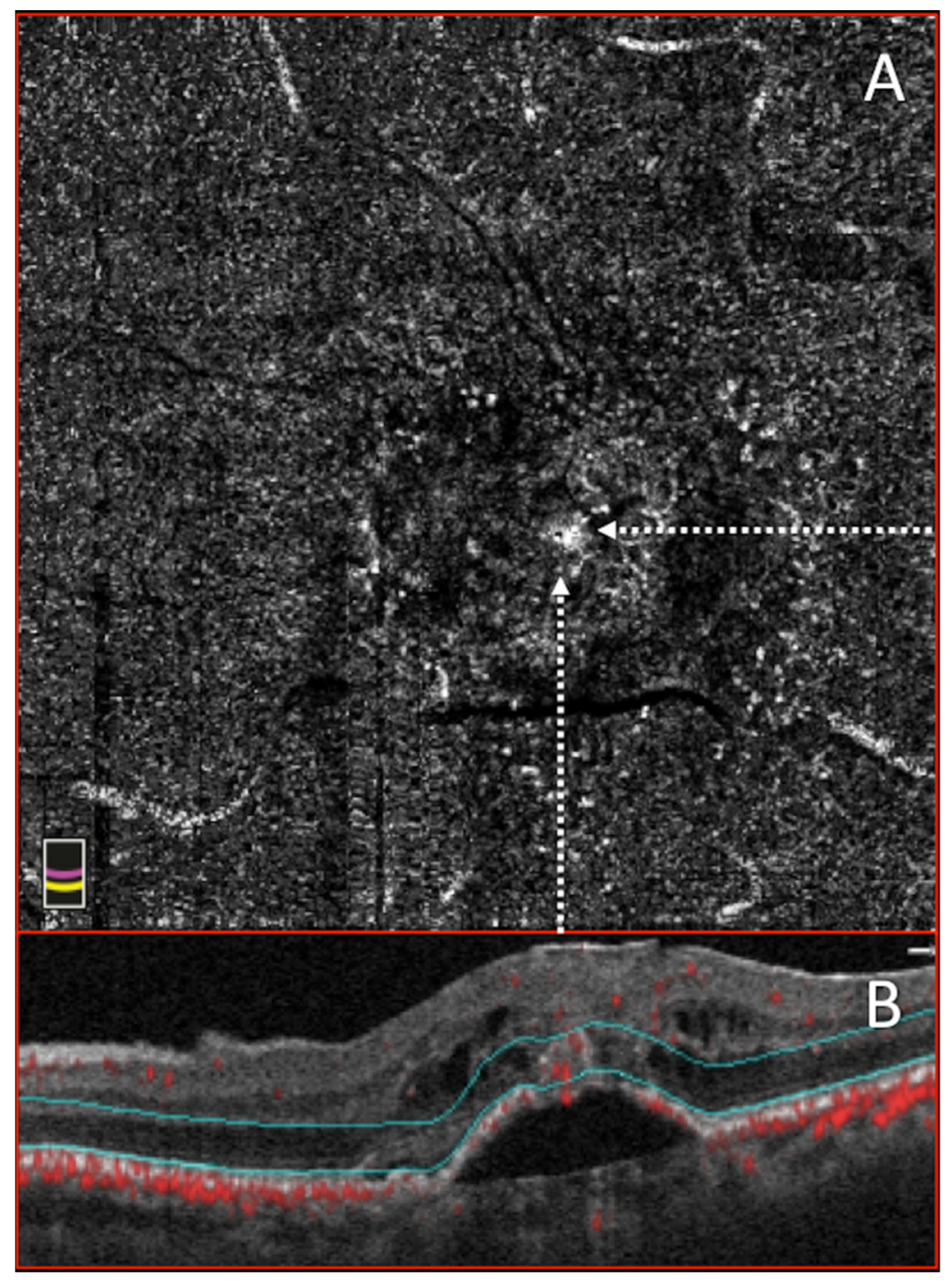 Applsci 10 08865 g003 Applsci 10 08865 g003