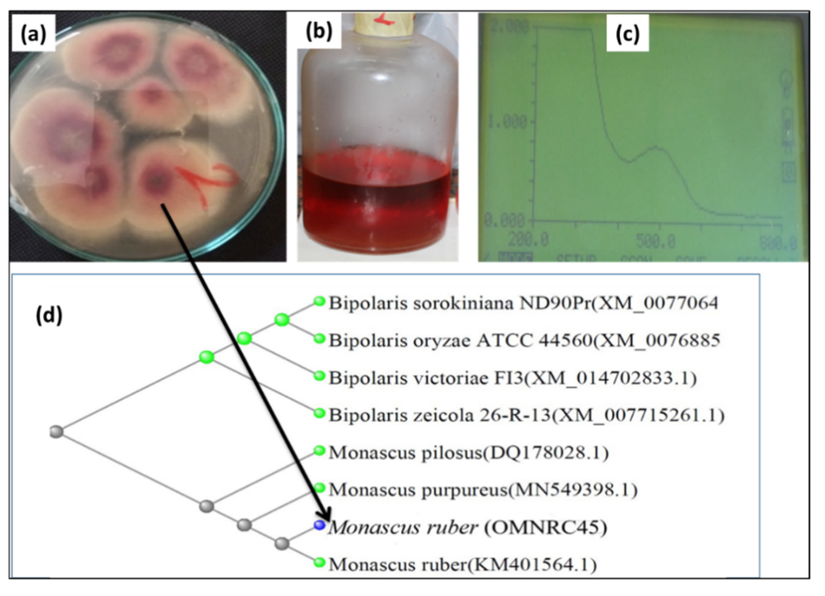 Applsci 10 08867 g002 Applsci 10 08867 g002