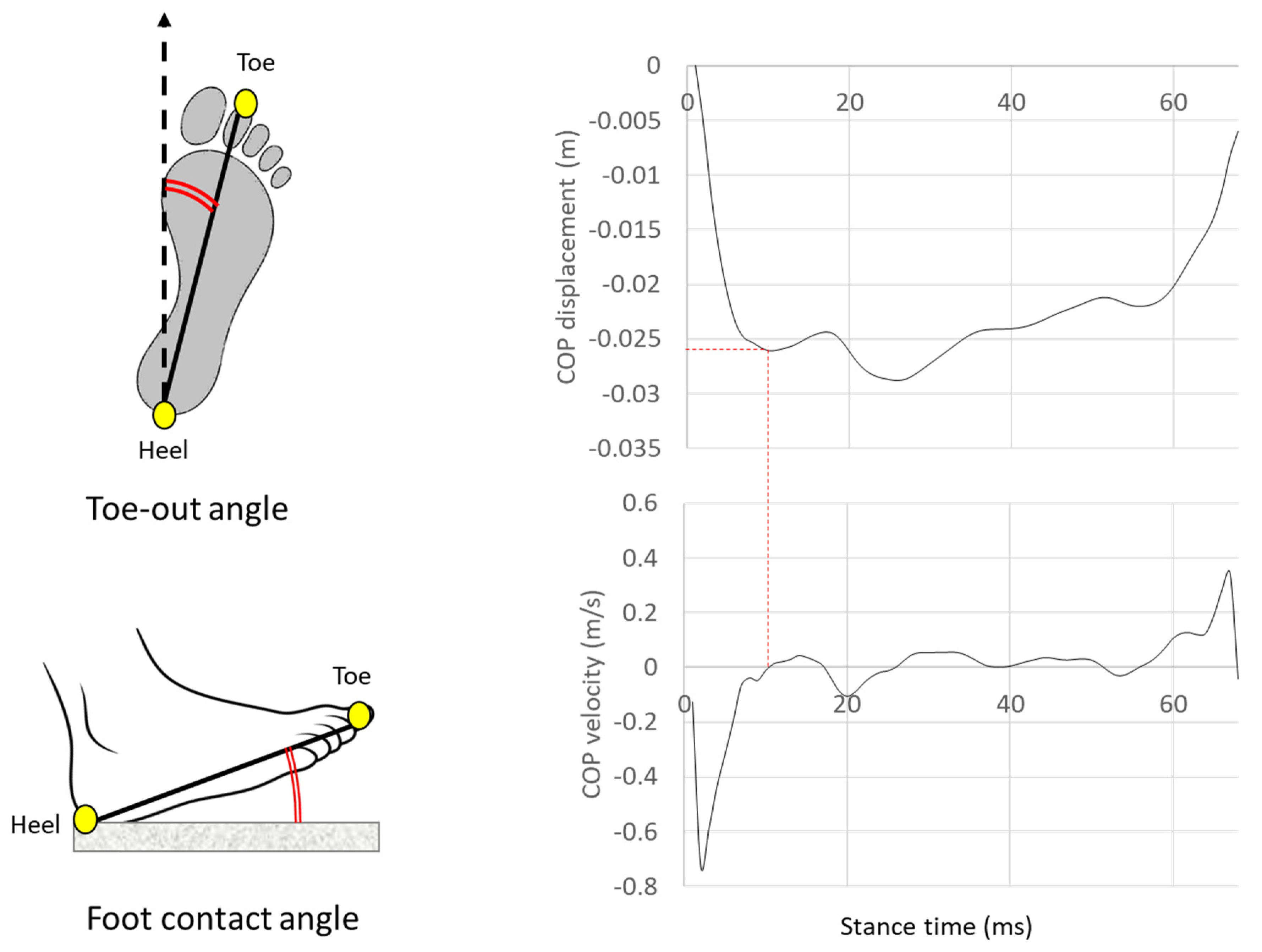 Applsci 10 08881 g002