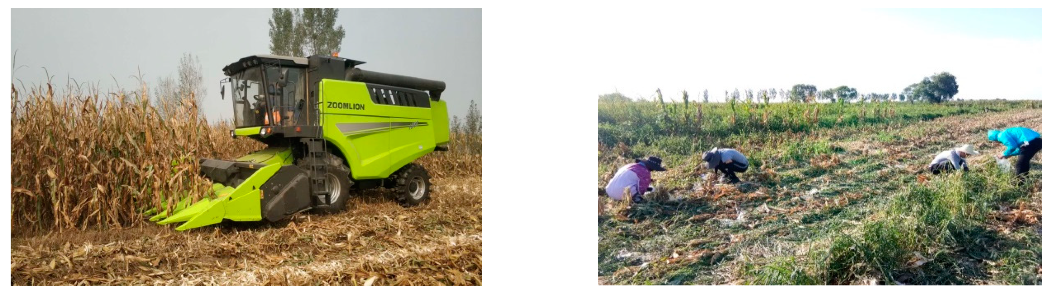 Applsci 10 08888 g008 Applsci 10 08888 g008