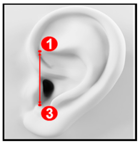 Applsci 10 08890 i005