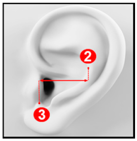 Applsci 10 08890 i006