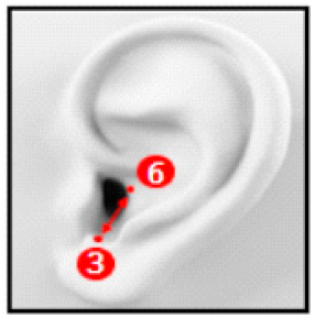 Applsci 10 08890 i009