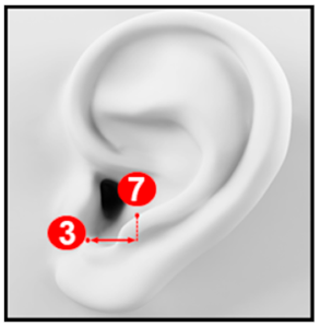 Applsci 10 08890 i010