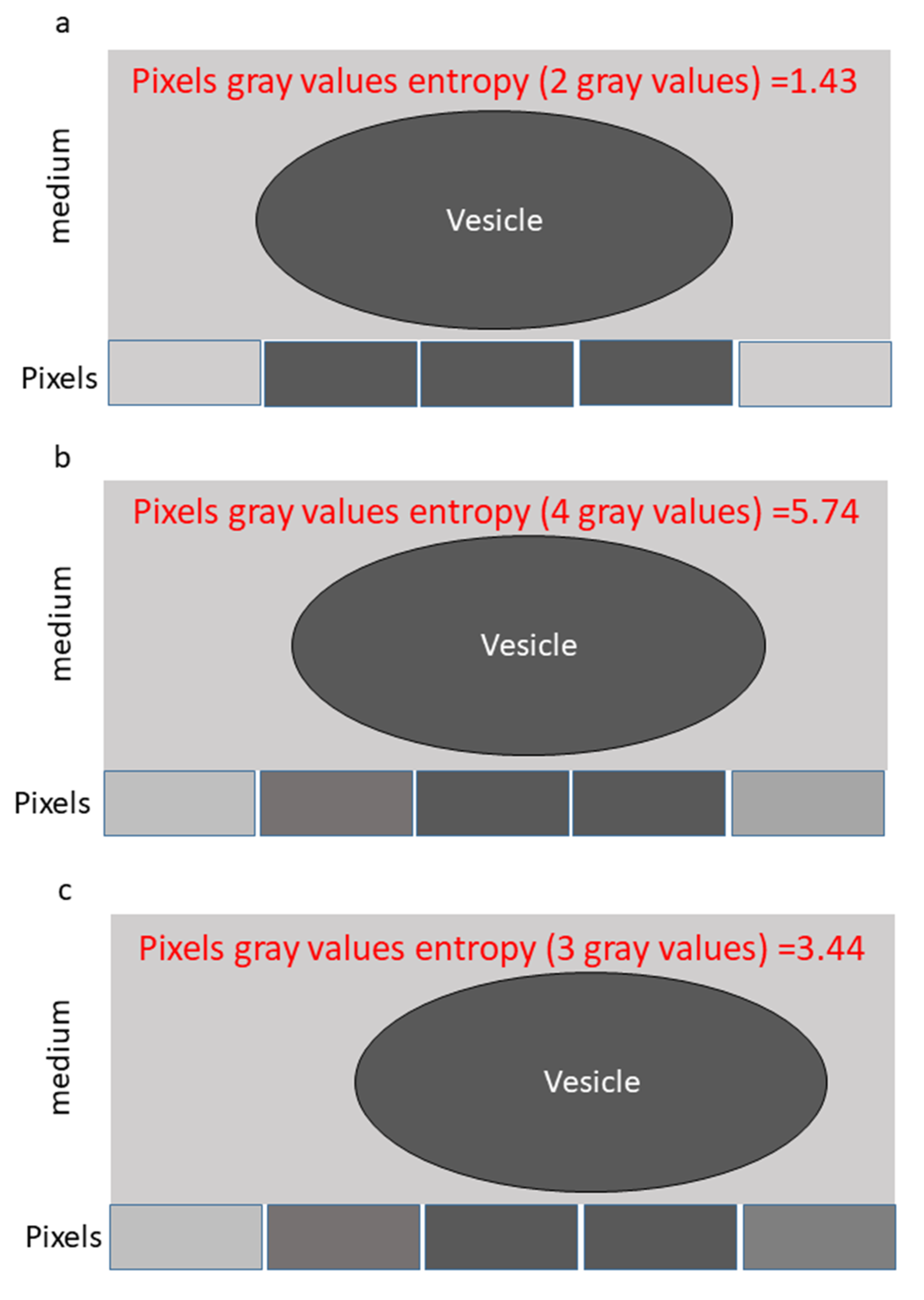 Applsci 10 08894 g001 Applsci 10 08894 g001