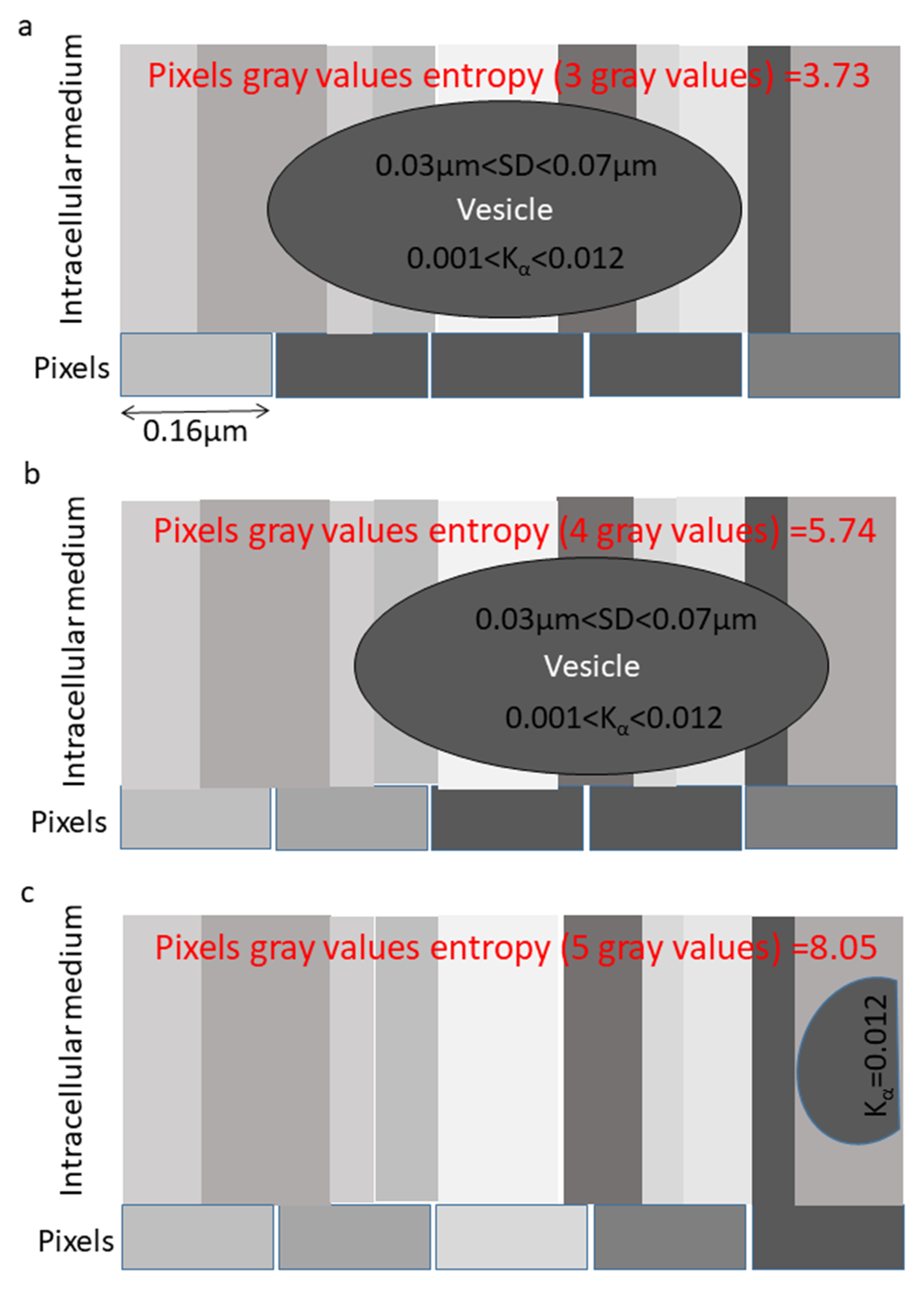 Applsci 10 08894 g002 Applsci 10 08894 g002