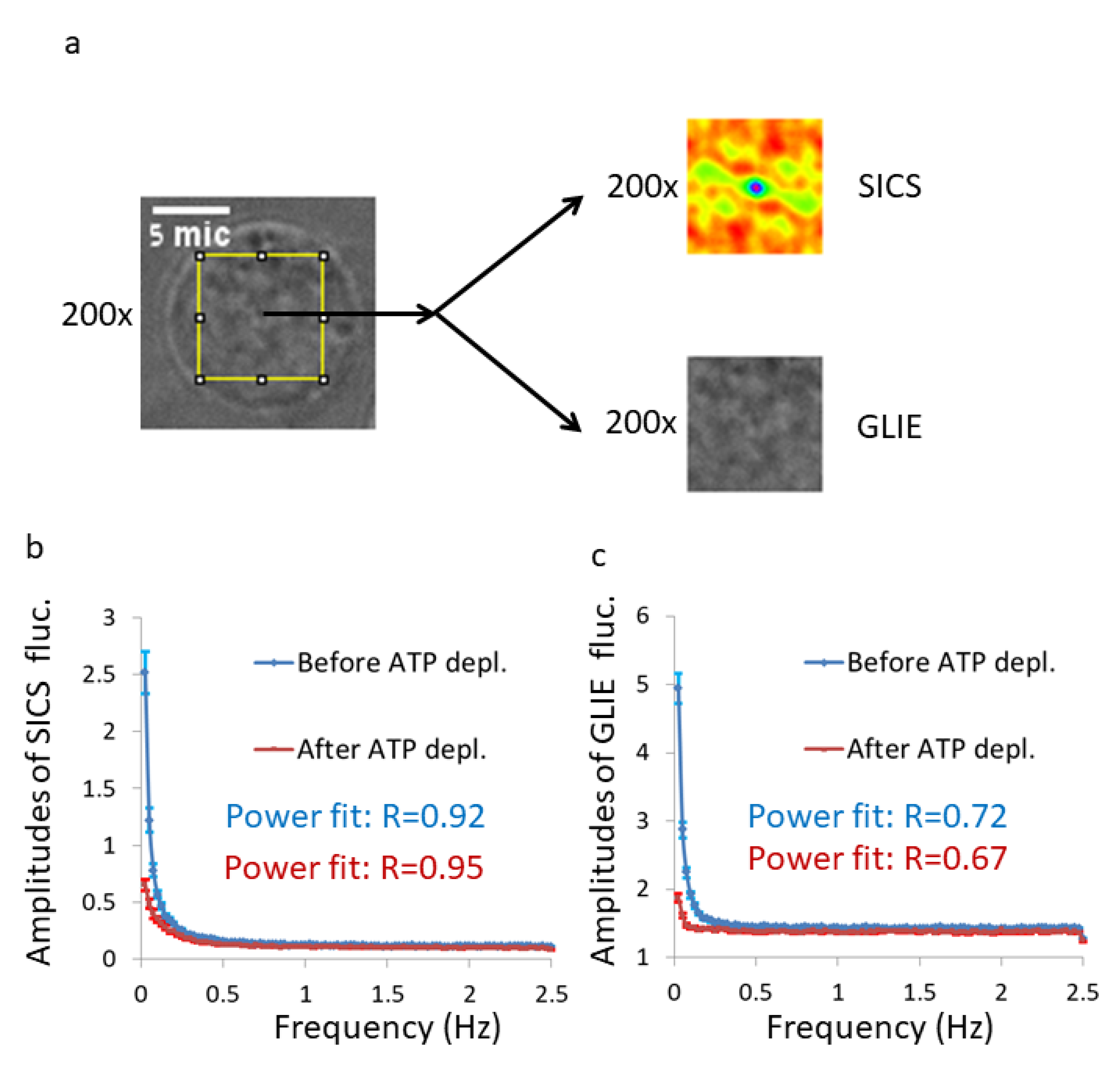 Applsci 10 08894 g004 Applsci 10 08894 g004