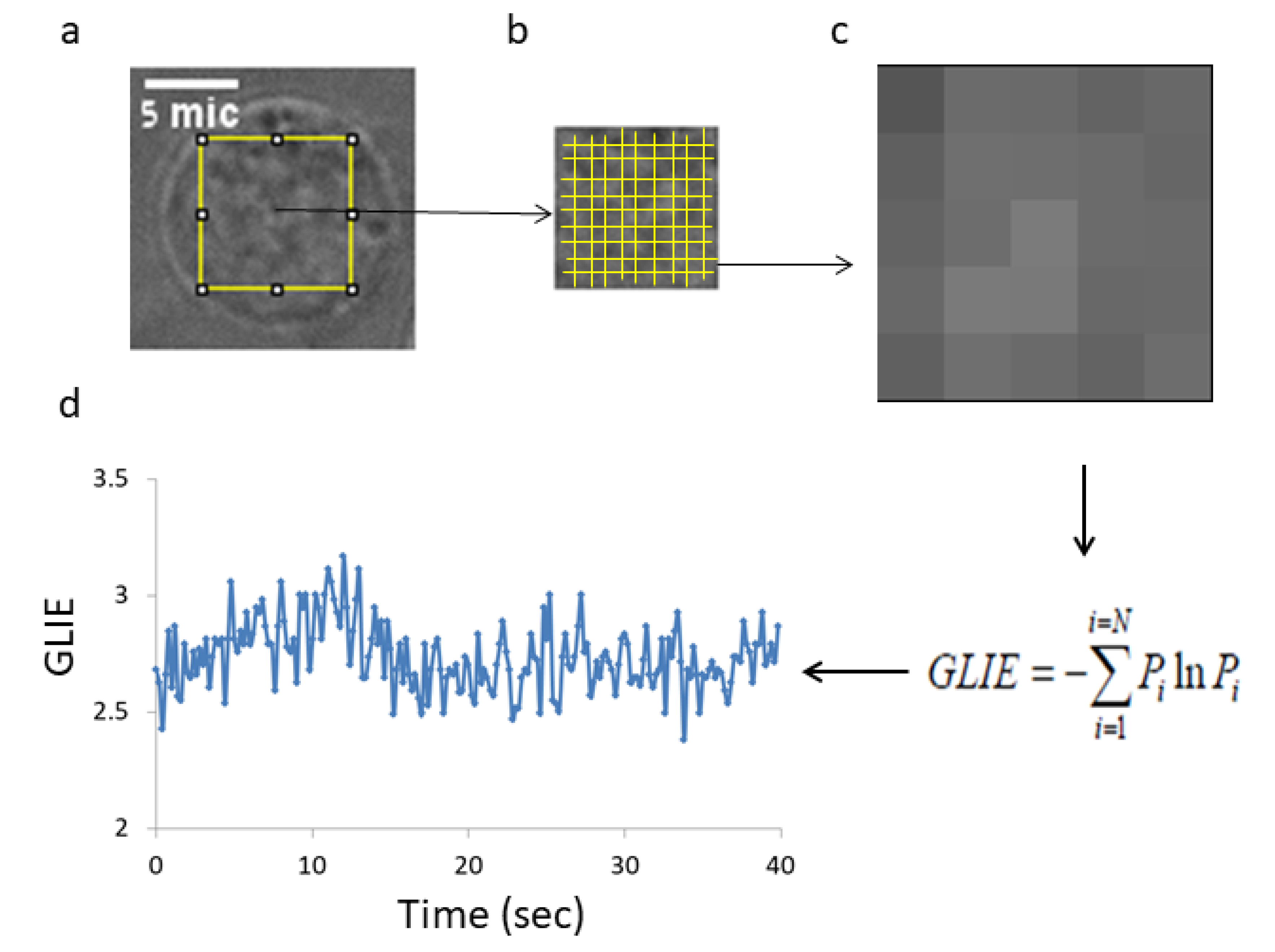 Applsci 10 08894 g005 Applsci 10 08894 g005