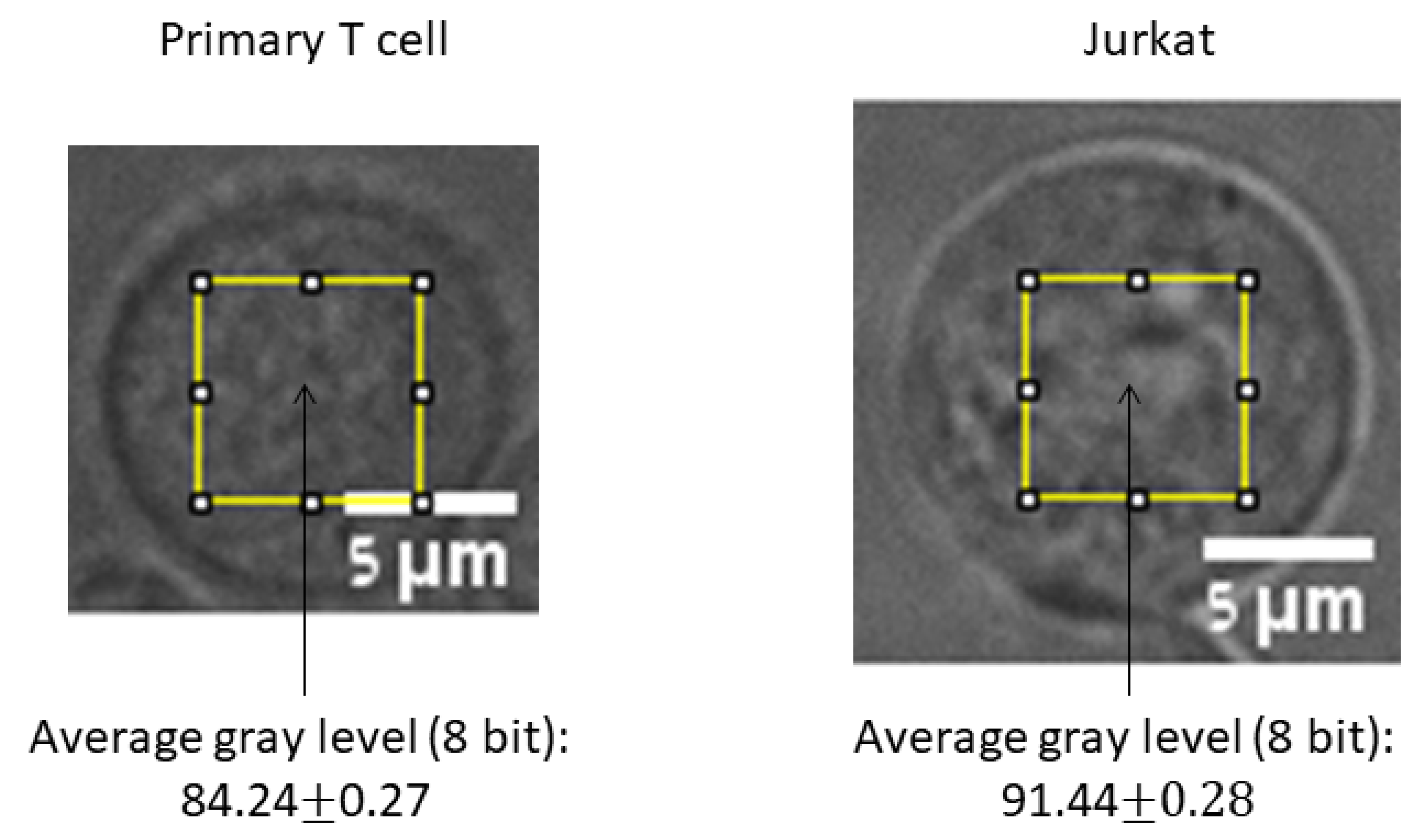 Applsci 10 08894 g009 Applsci 10 08894 g009