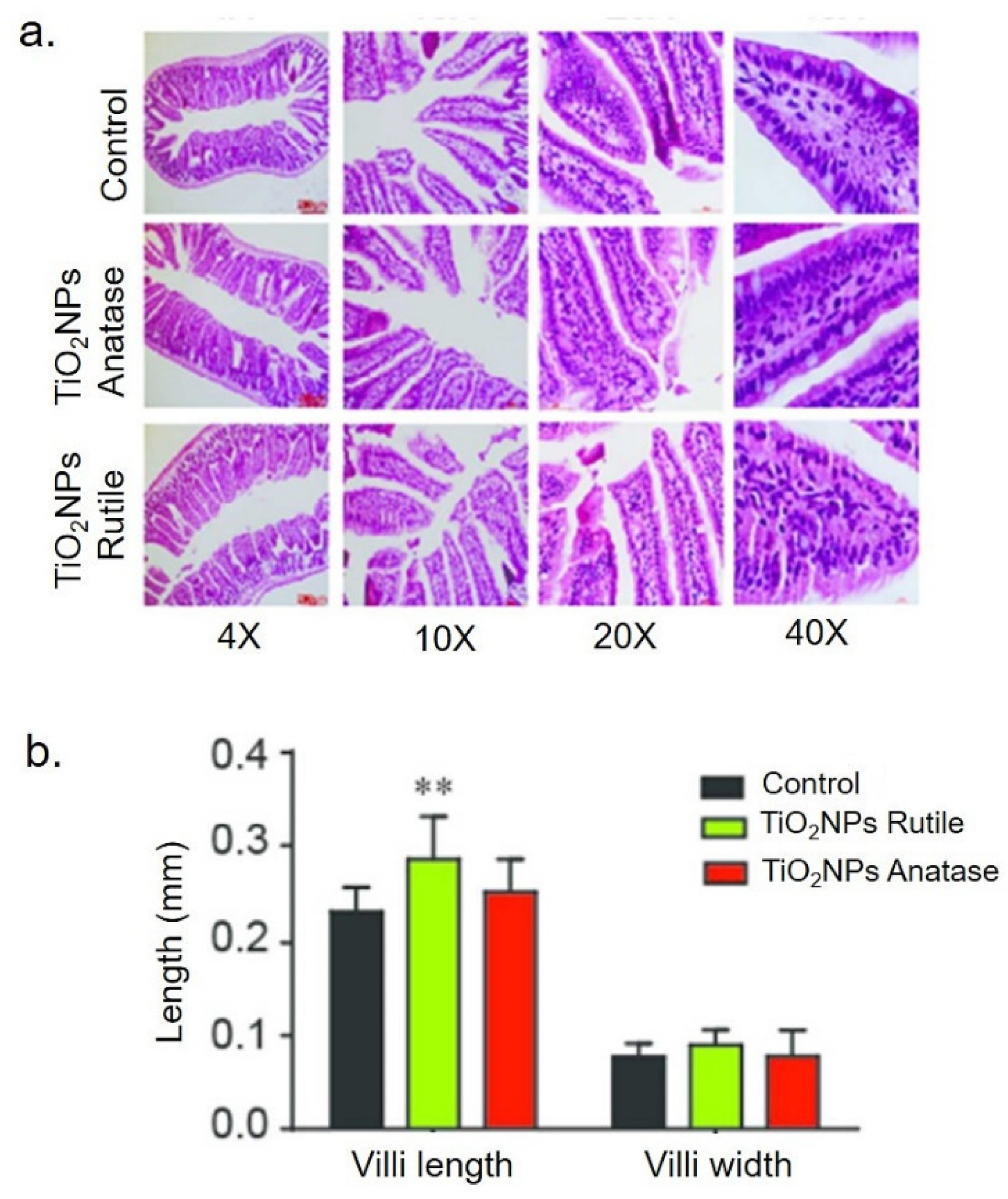 Applsci 10 08896 g005 Applsci 10 08896 g005