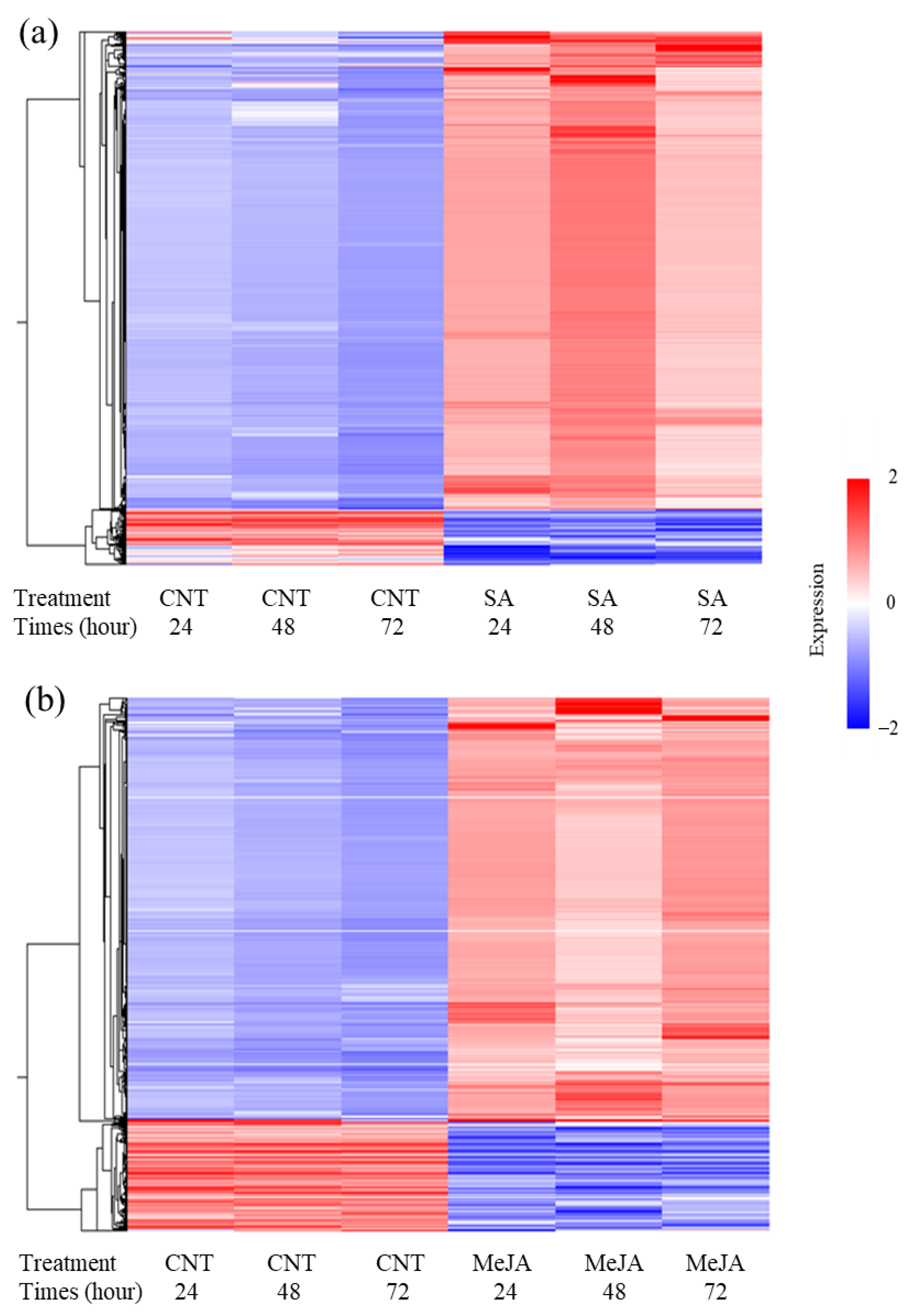 Applsci 10 08916 g005 Applsci 10 08916 g005