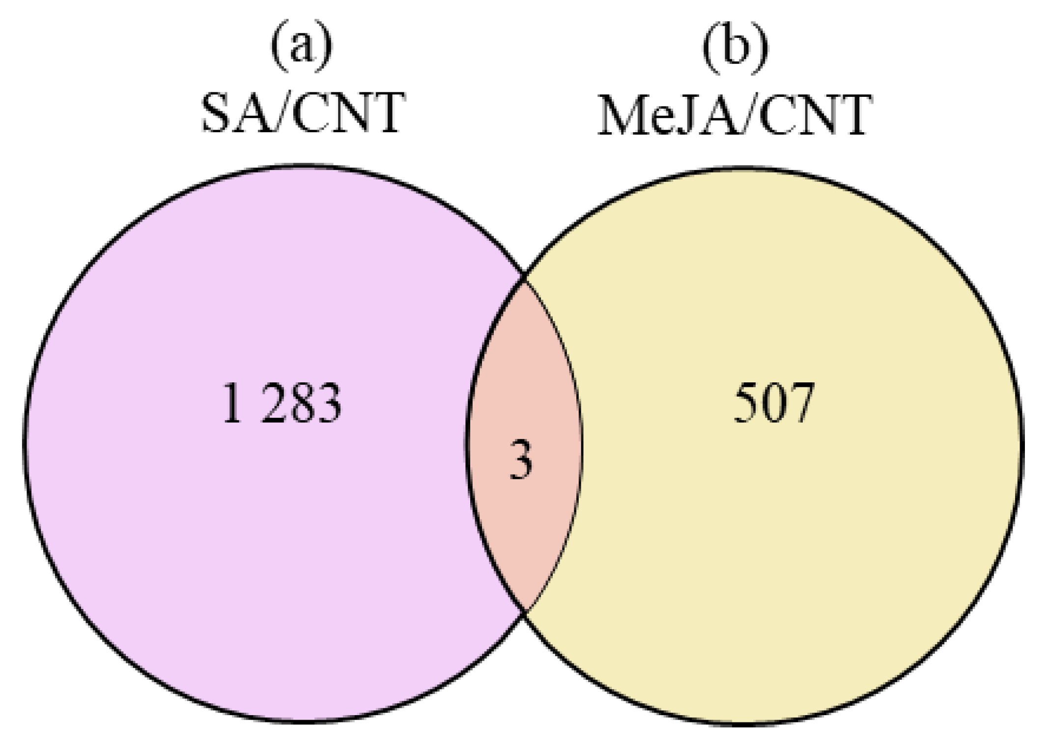 Applsci 10 08916 g006 Applsci 10 08916 g006