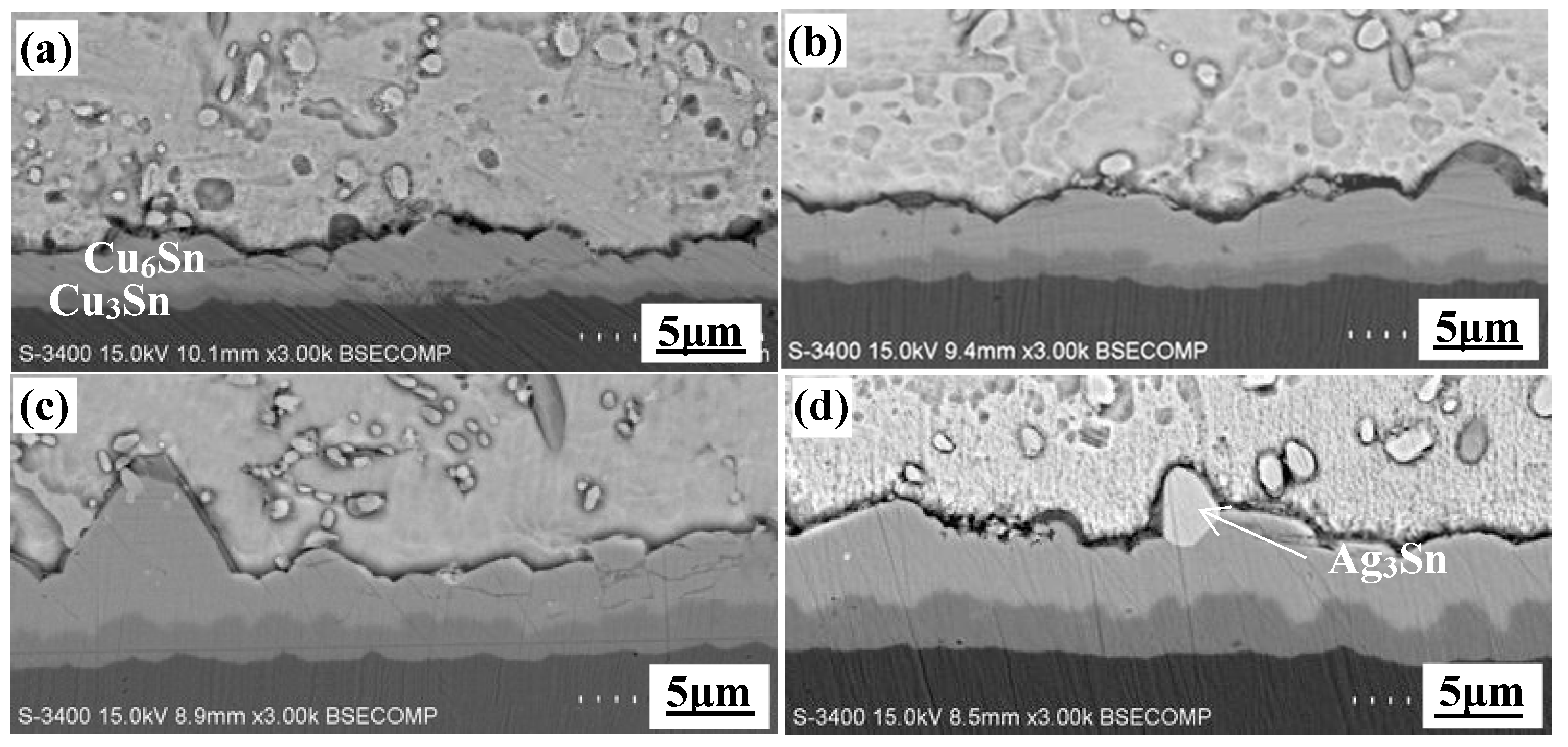 Applsci 10 08935 g005 Applsci 10 08935 g005