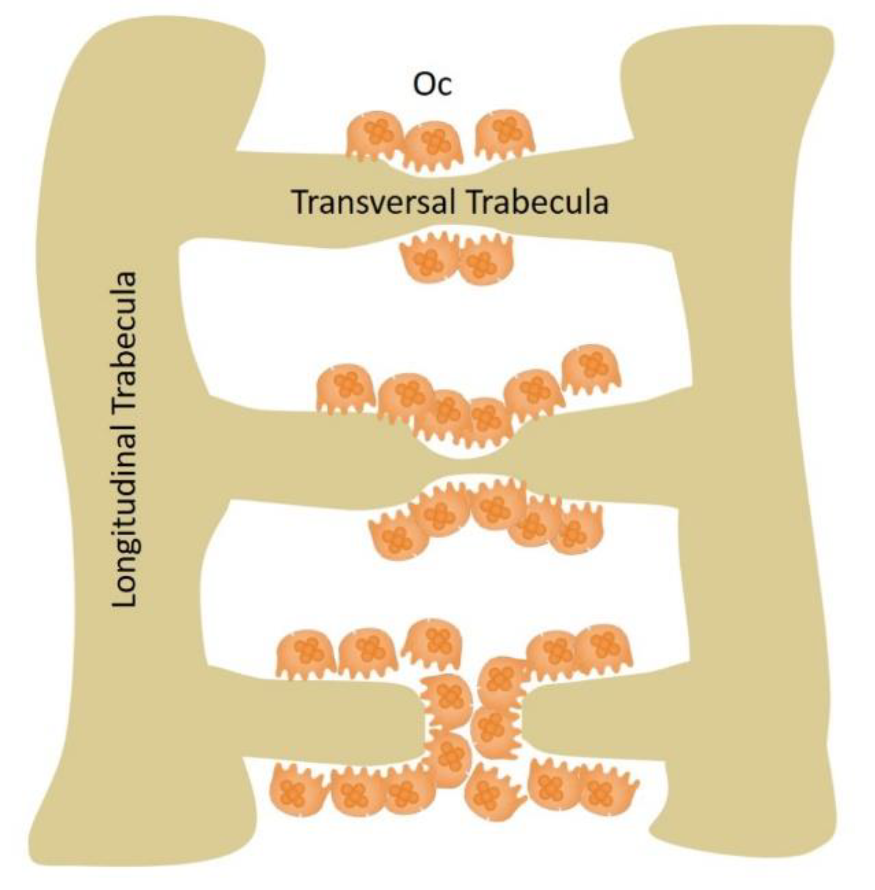 Applsci 10 08939 g002