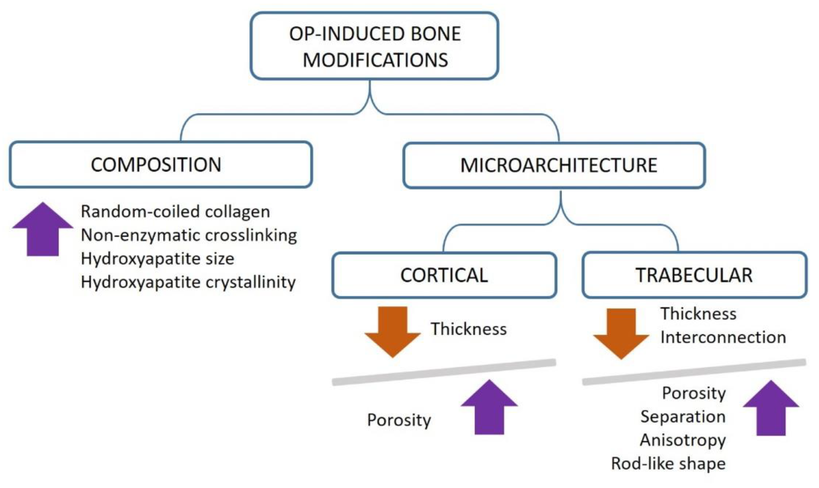 Applsci 10 08939 g006