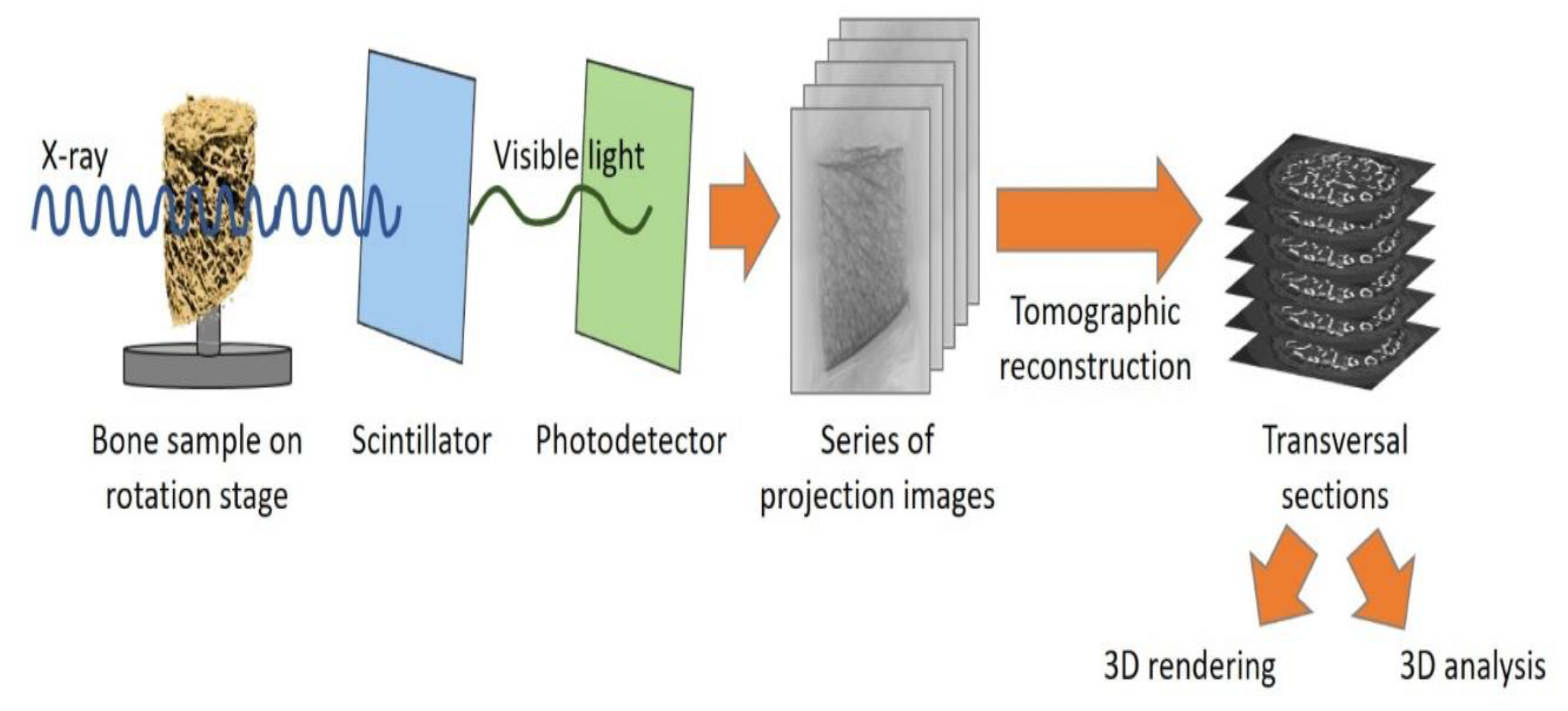 Applsci 10 08939 g011
