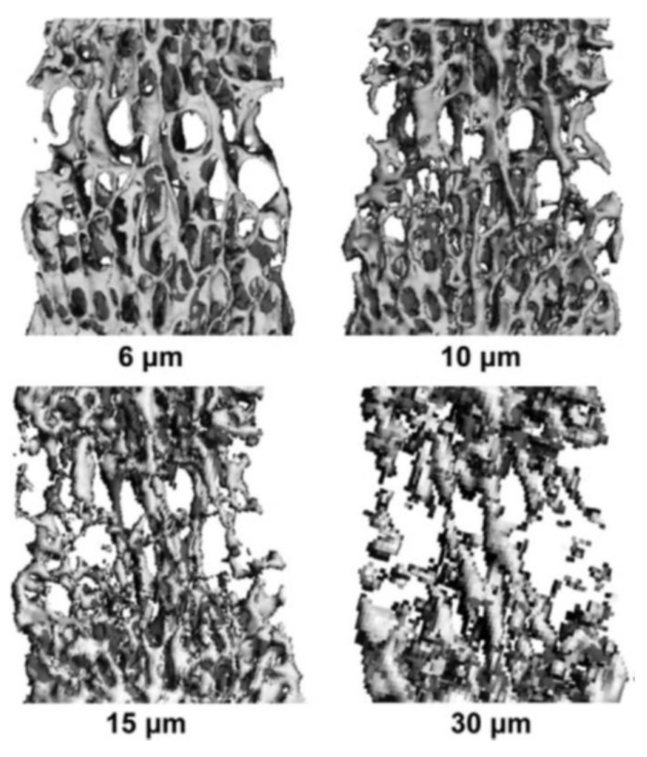 Applsci 10 08939 g012