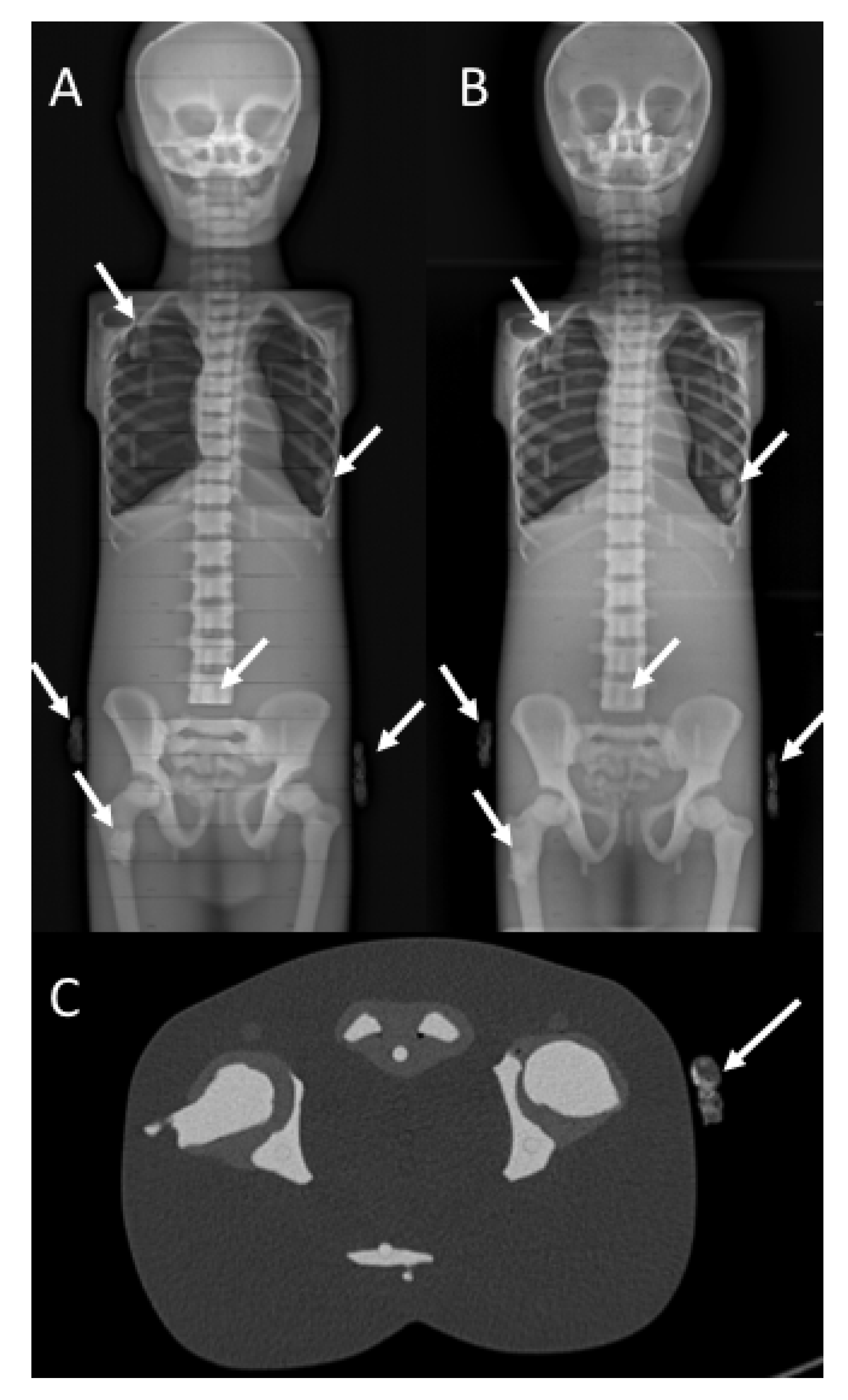 Applsci 10 08941 g004