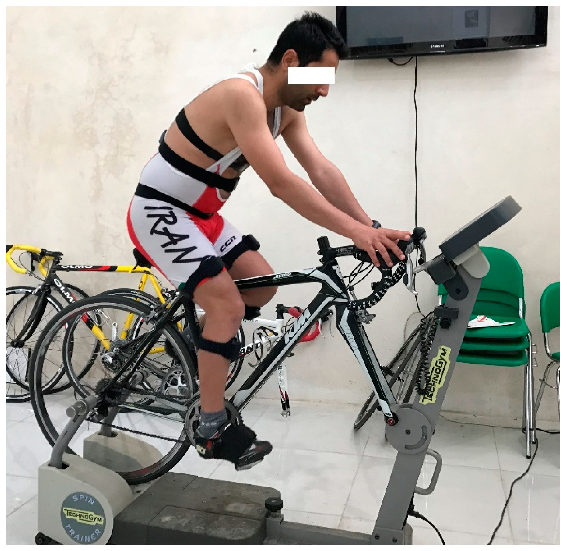 Spin physics turbo 2025 trainer