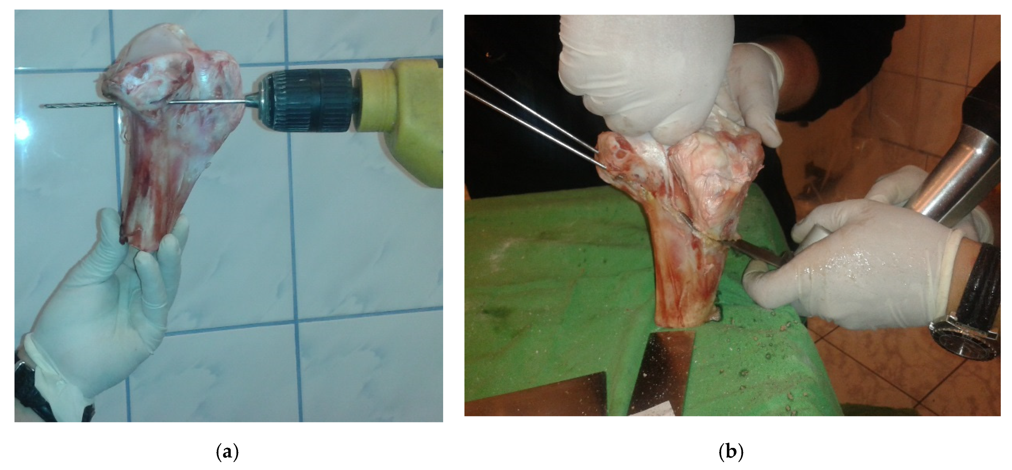 Applsci 10 08972 g005 Applsci 10 08972 g005