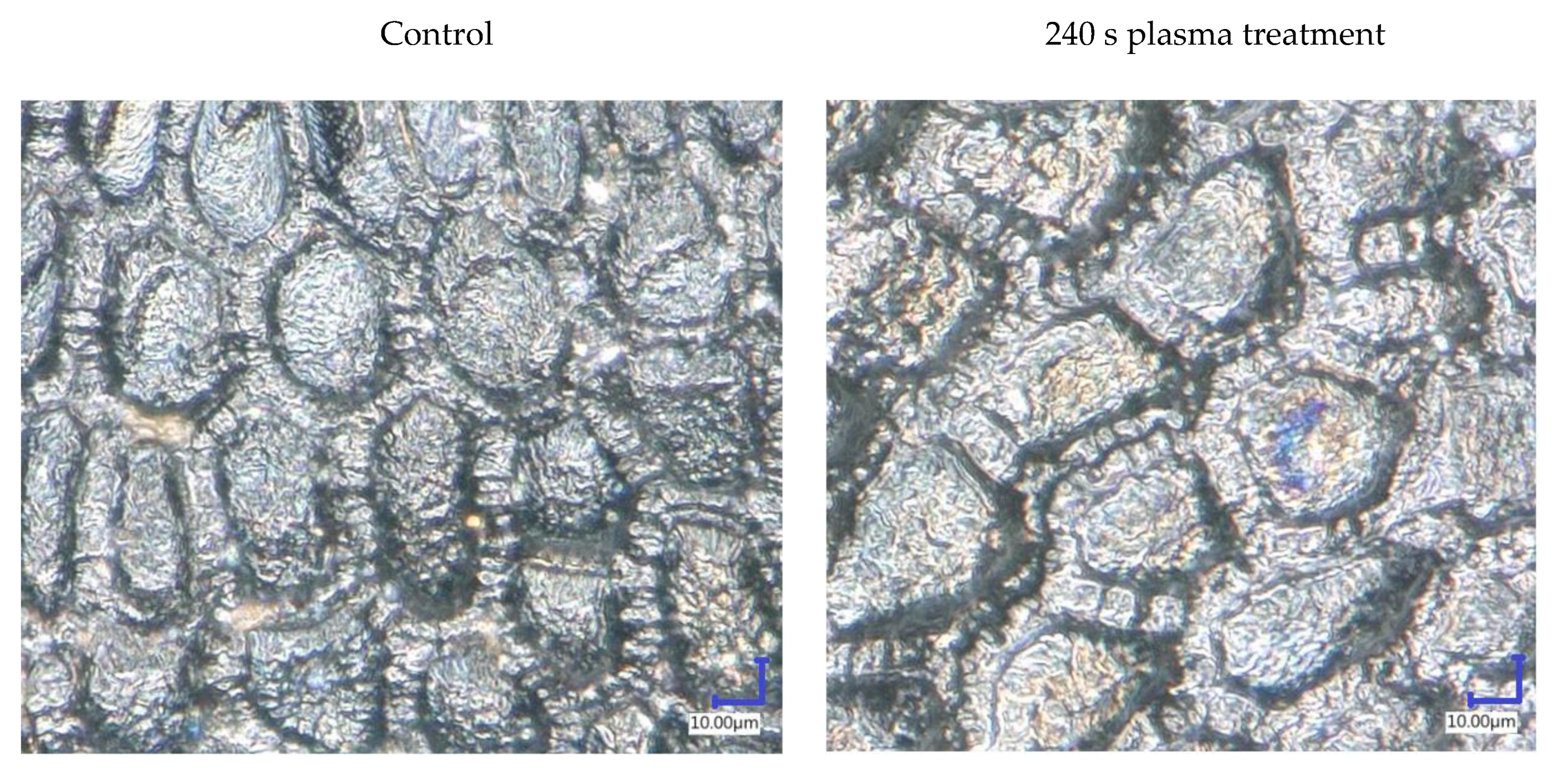 Applsci 10 08973 g002 Applsci 10 08973 g002