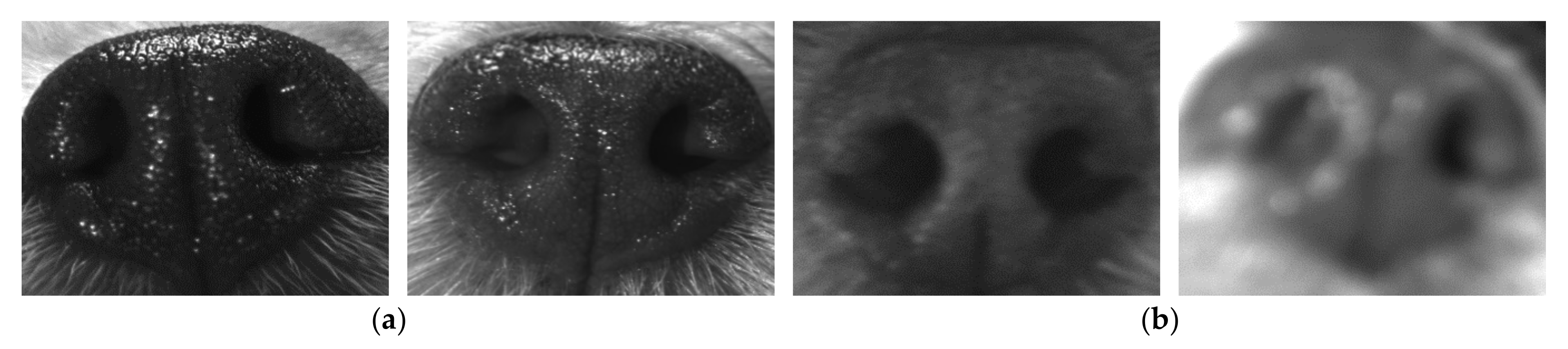 Applsci 10 08994 g002 Applsci 10 08994 g002