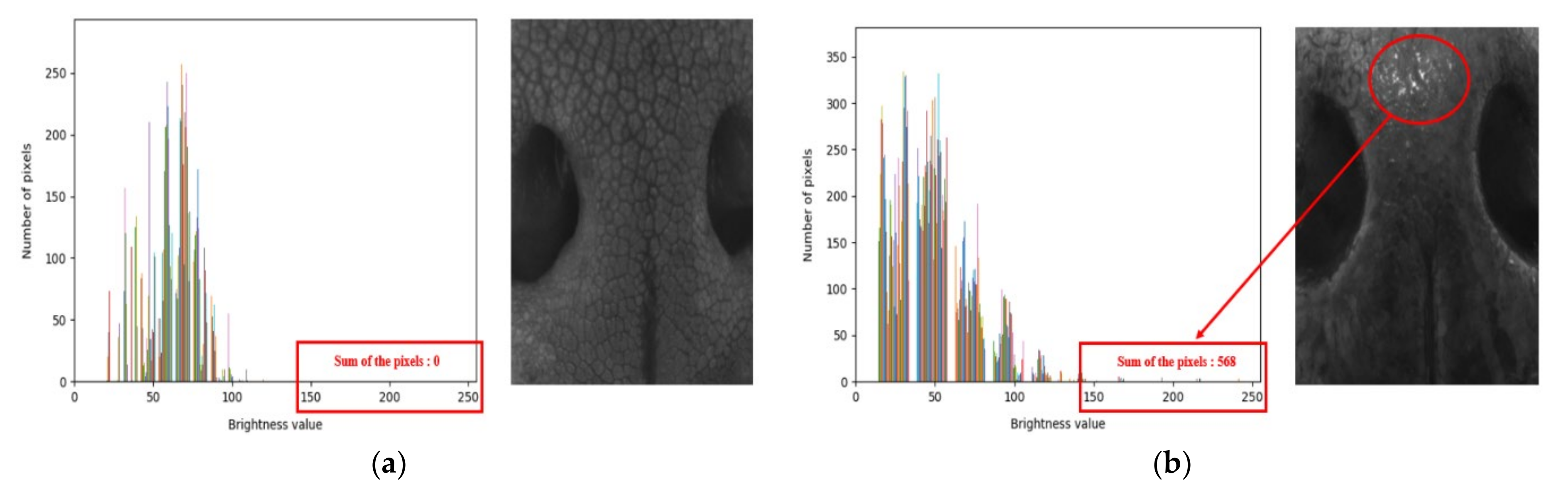 Applsci 10 08994 g003 Applsci 10 08994 g003