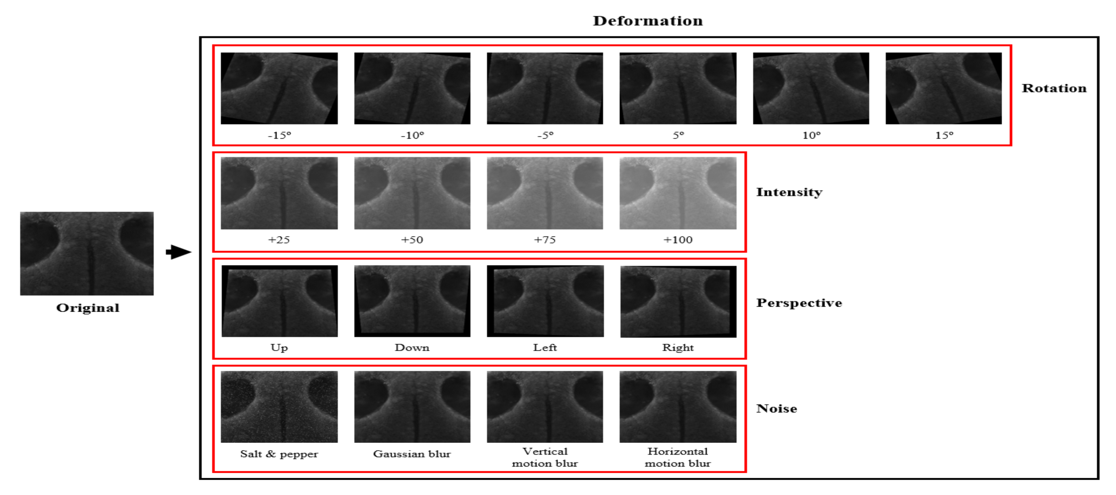 Applsci 10 08994 g004 Applsci 10 08994 g004