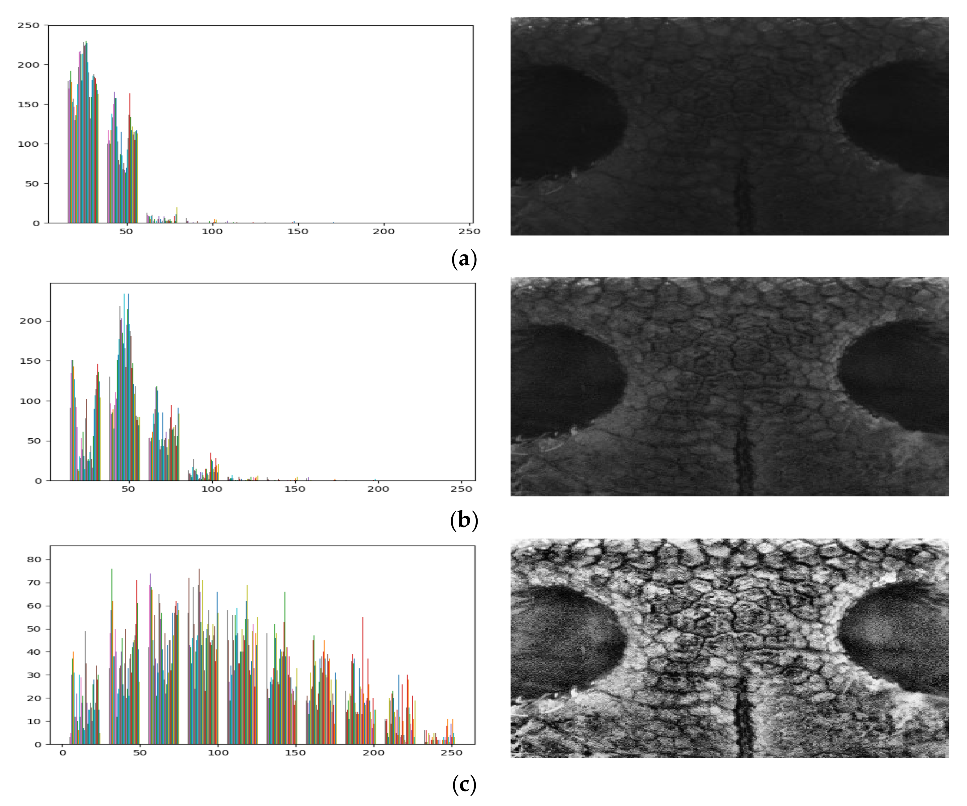 Applsci 10 08994 g006 Applsci 10 08994 g006