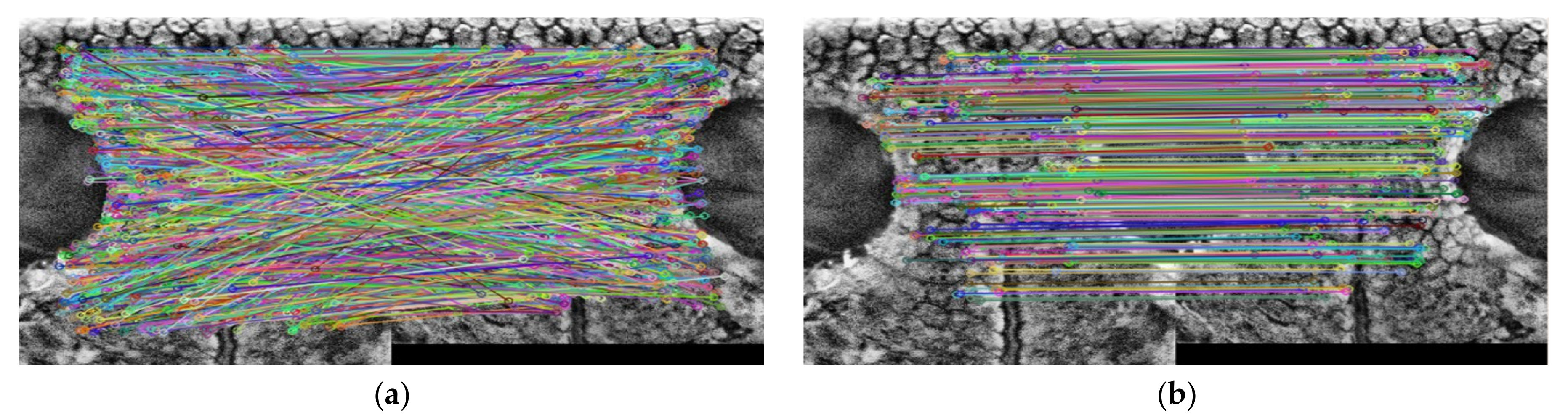 Applsci 10 08994 g009 Applsci 10 08994 g009