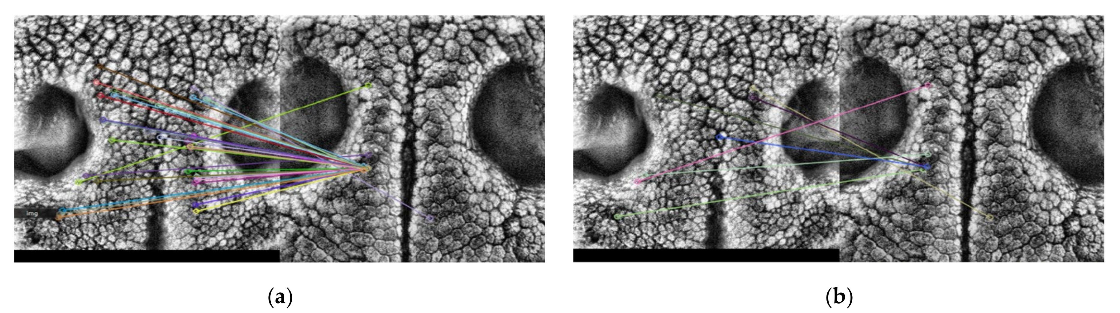 Applsci 10 08994 g010 Applsci 10 08994 g010