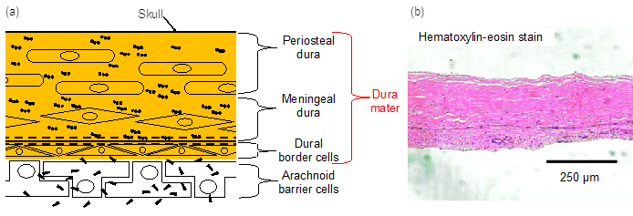 Applsci 10 09000 g002