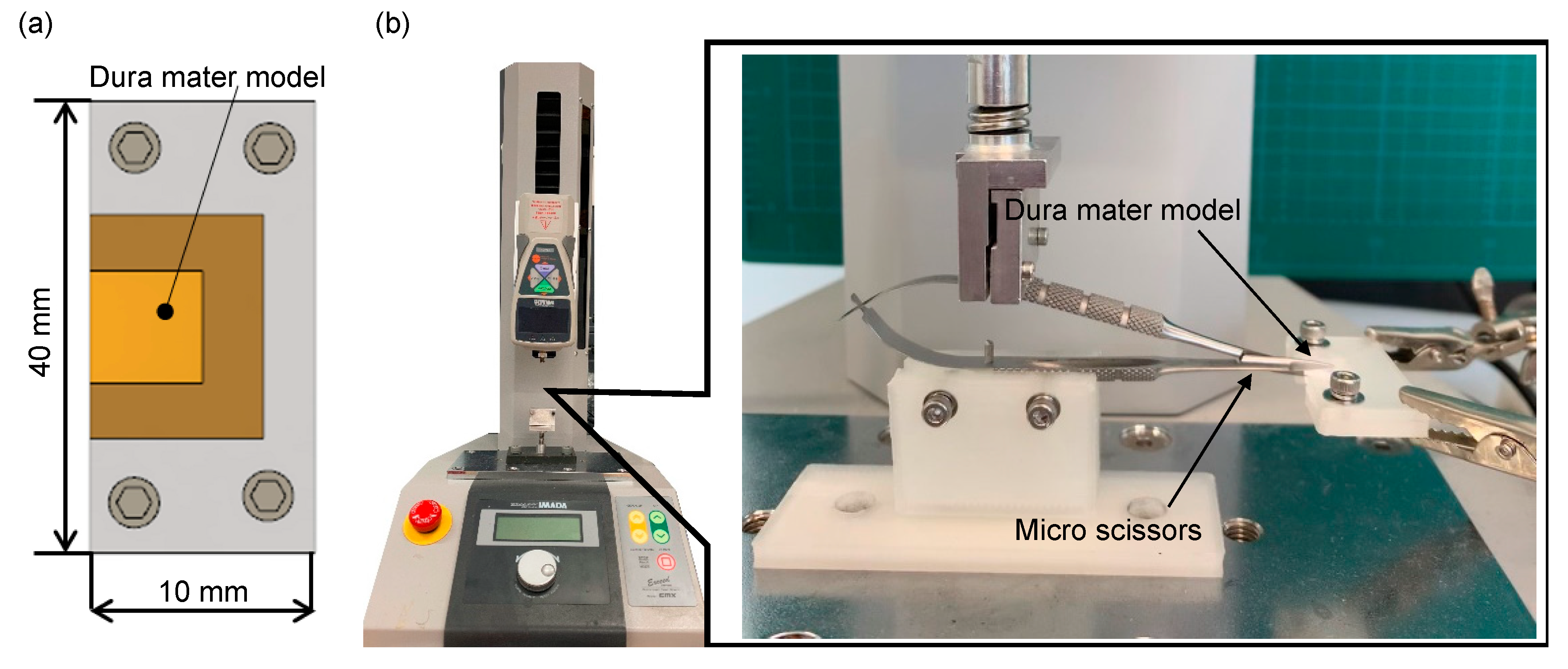 Applsci 10 09000 g010