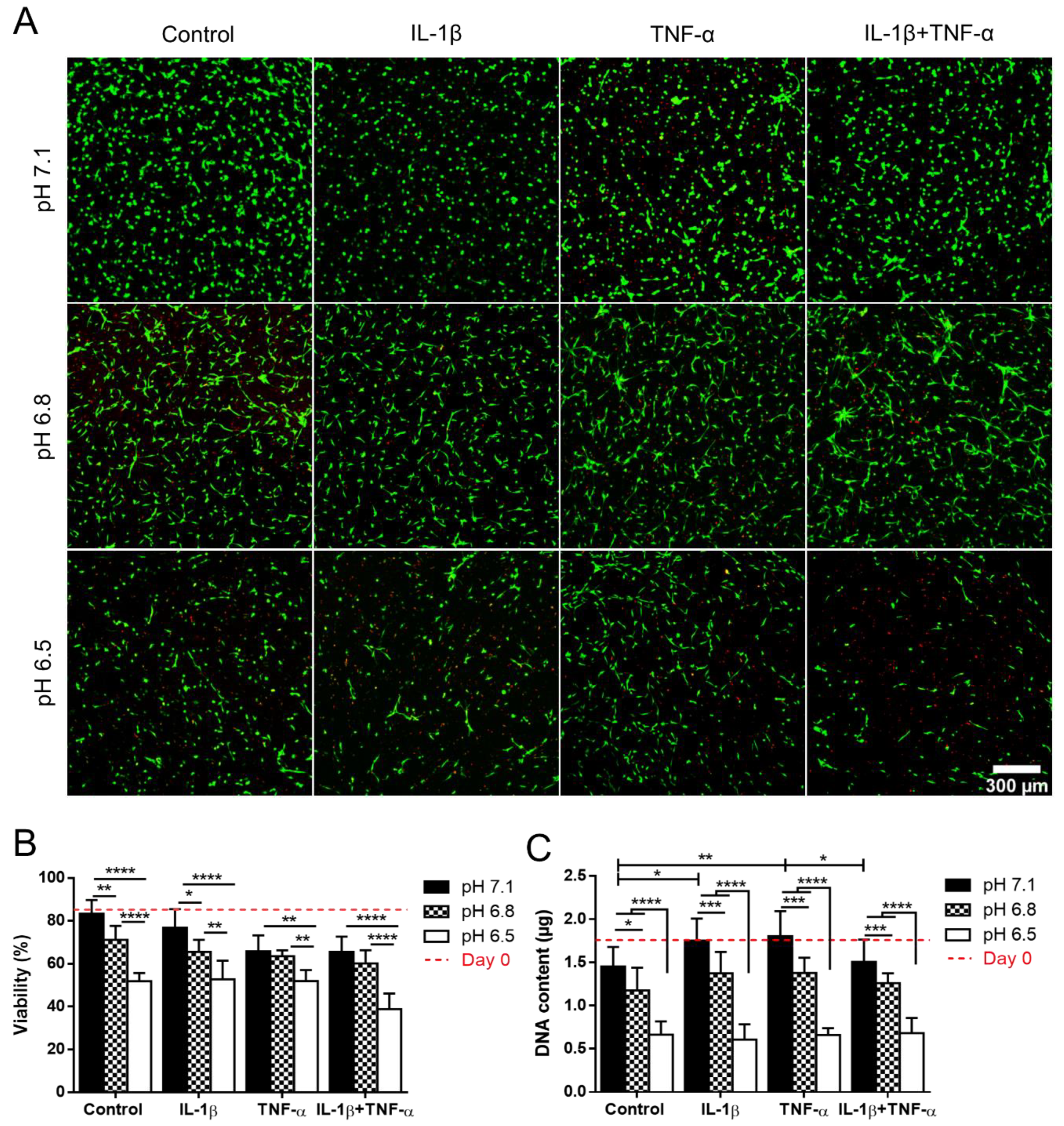Applsci 10 09009 g002
