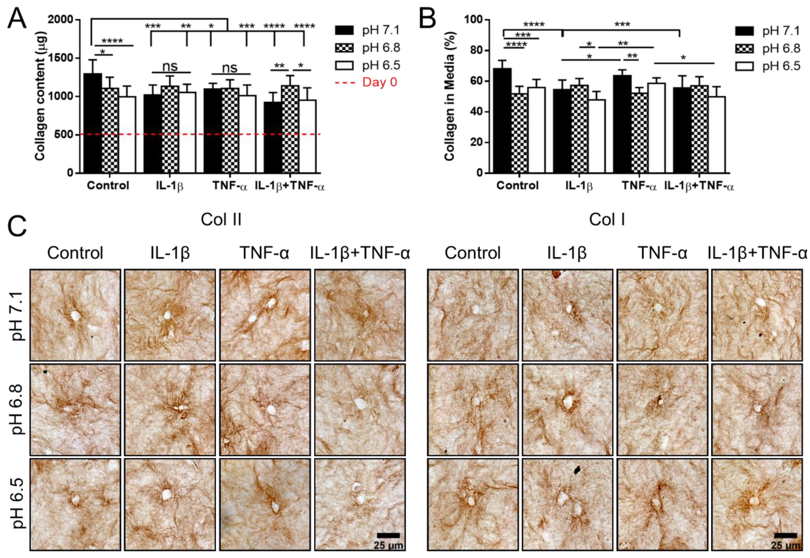 Applsci 10 09009 g003