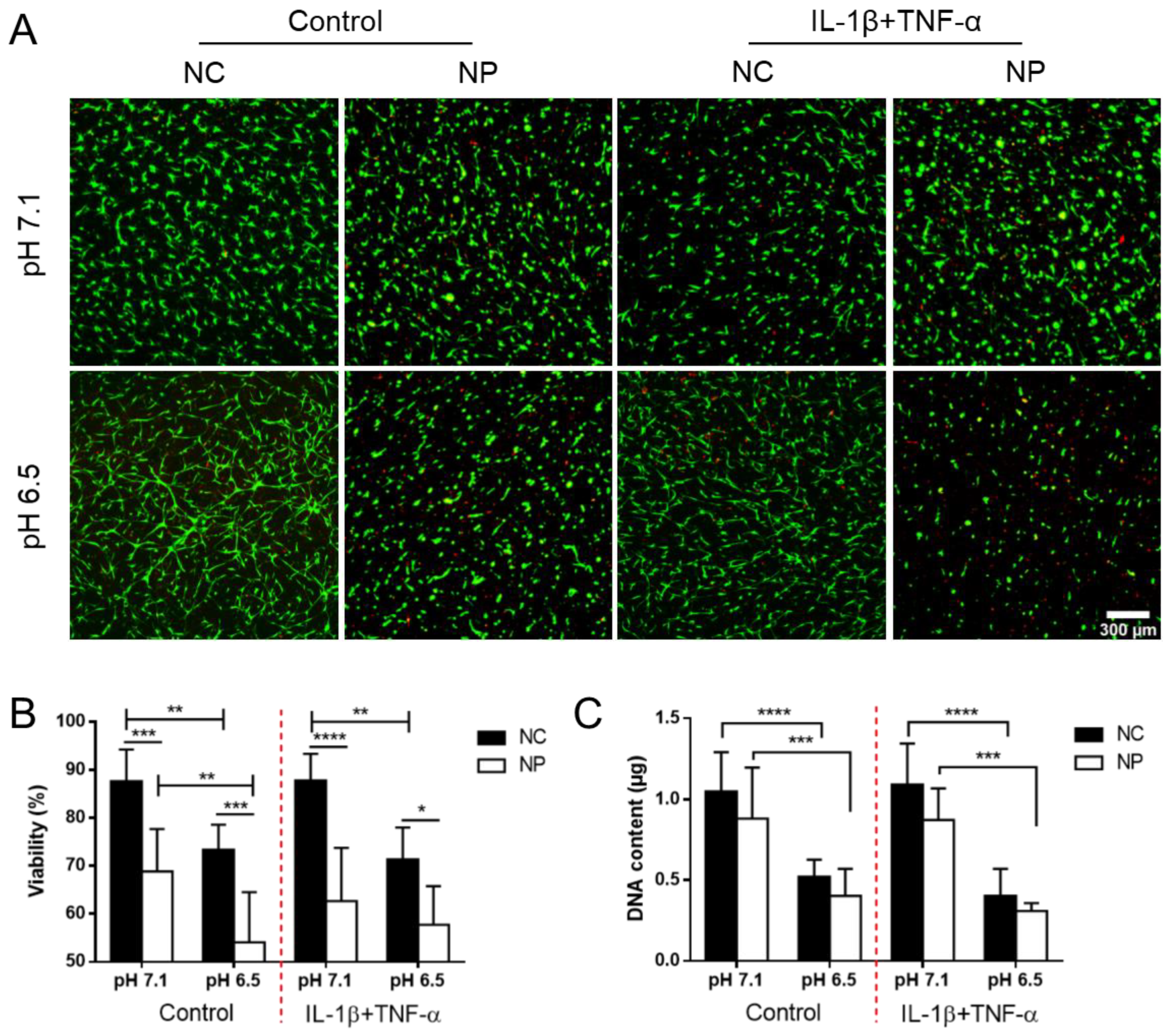 Applsci 10 09009 g005