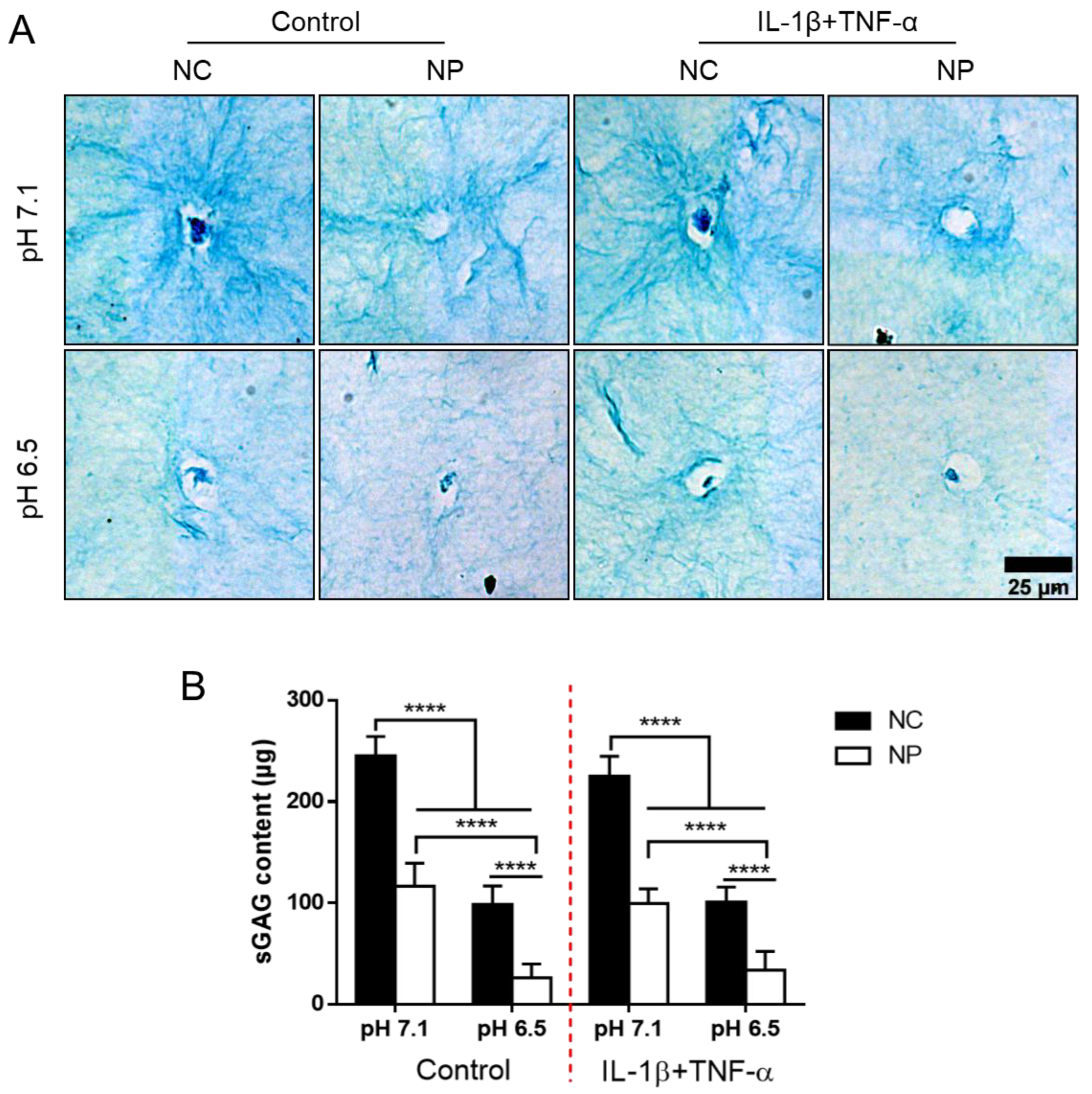 Applsci 10 09009 g006