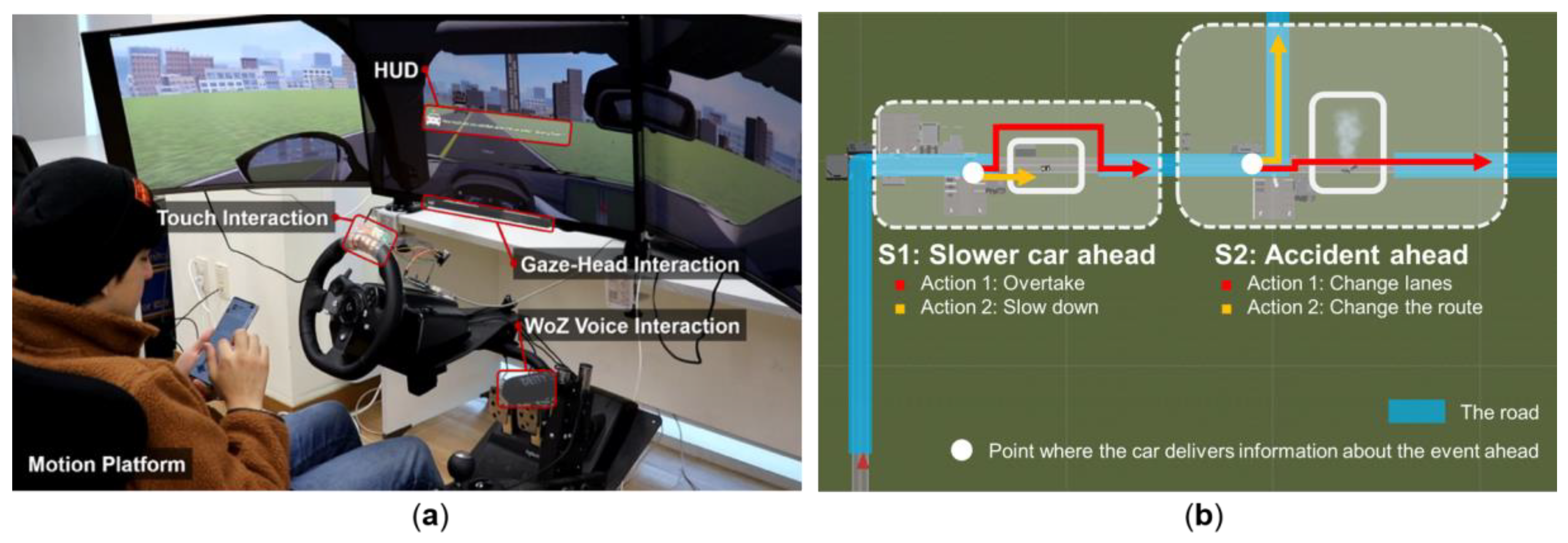 Gaze following requires early visual experience