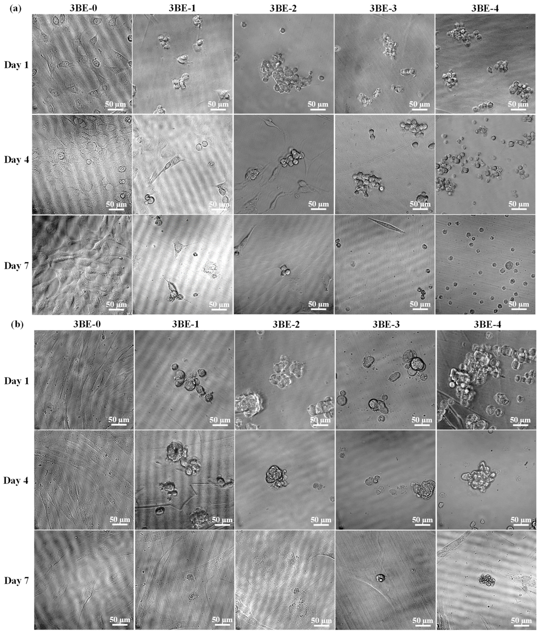 Applsci 10 09035 g006