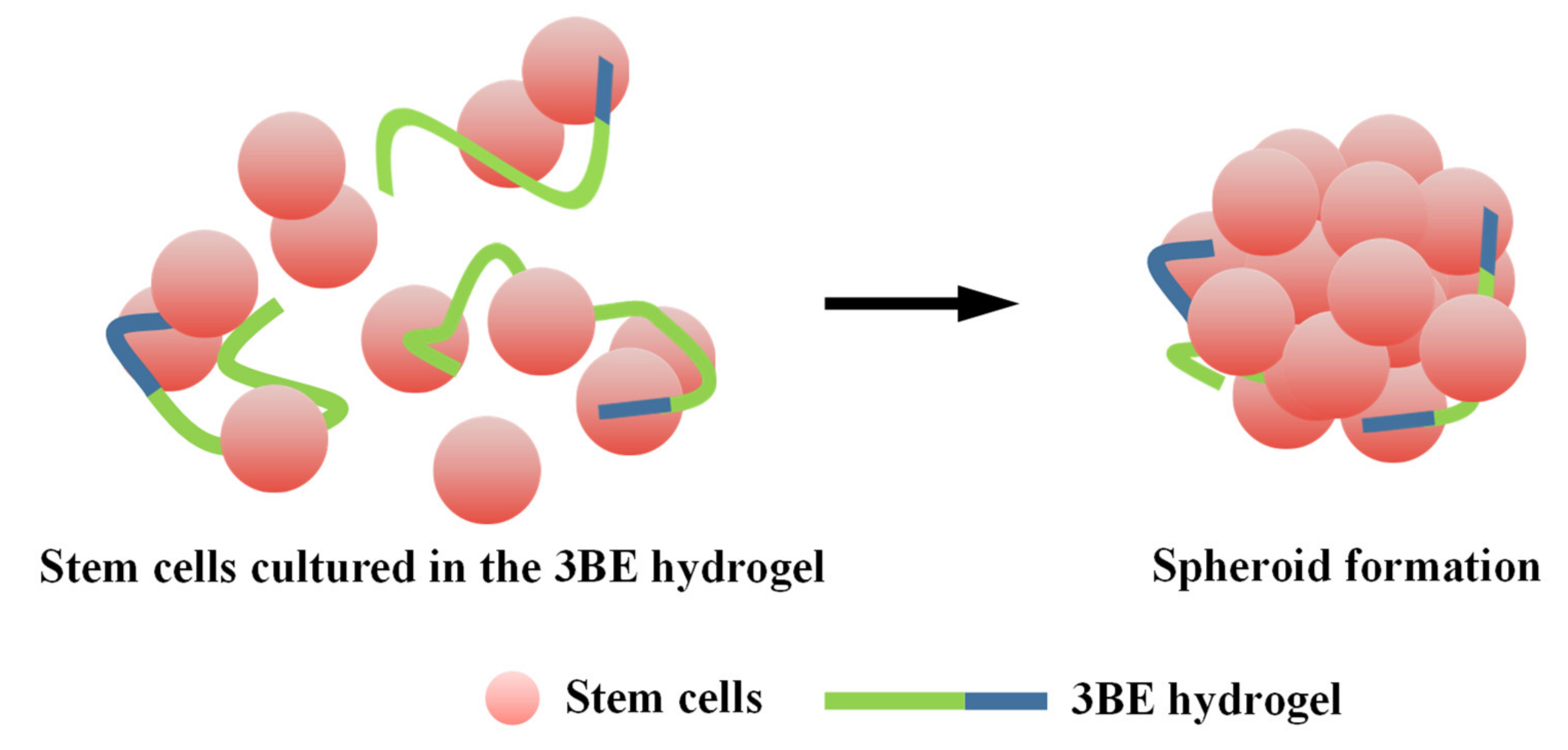Applsci 10 09035 g009