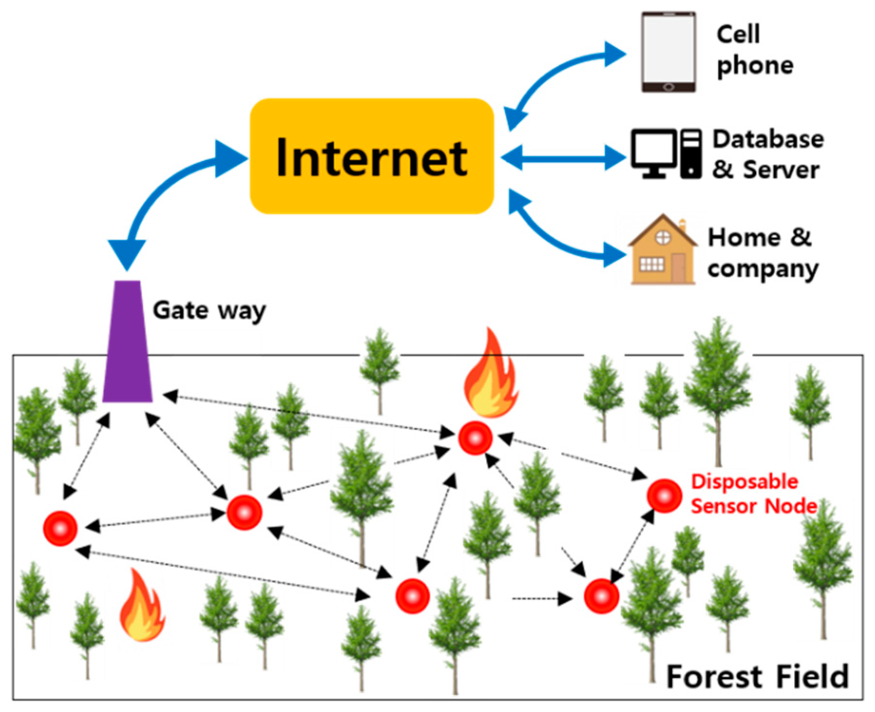 Applsci 10 09037 g001