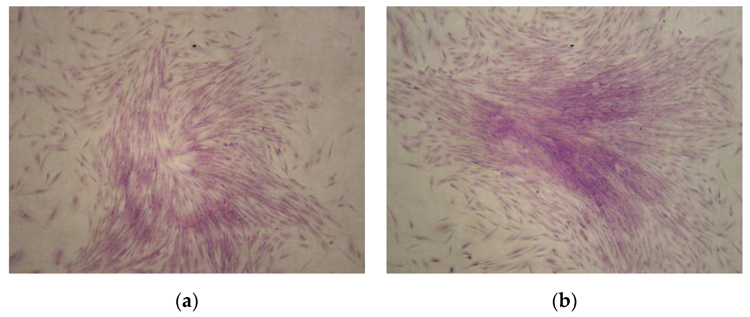 Applsci 10 09040 g002 Applsci 10 09040 g002