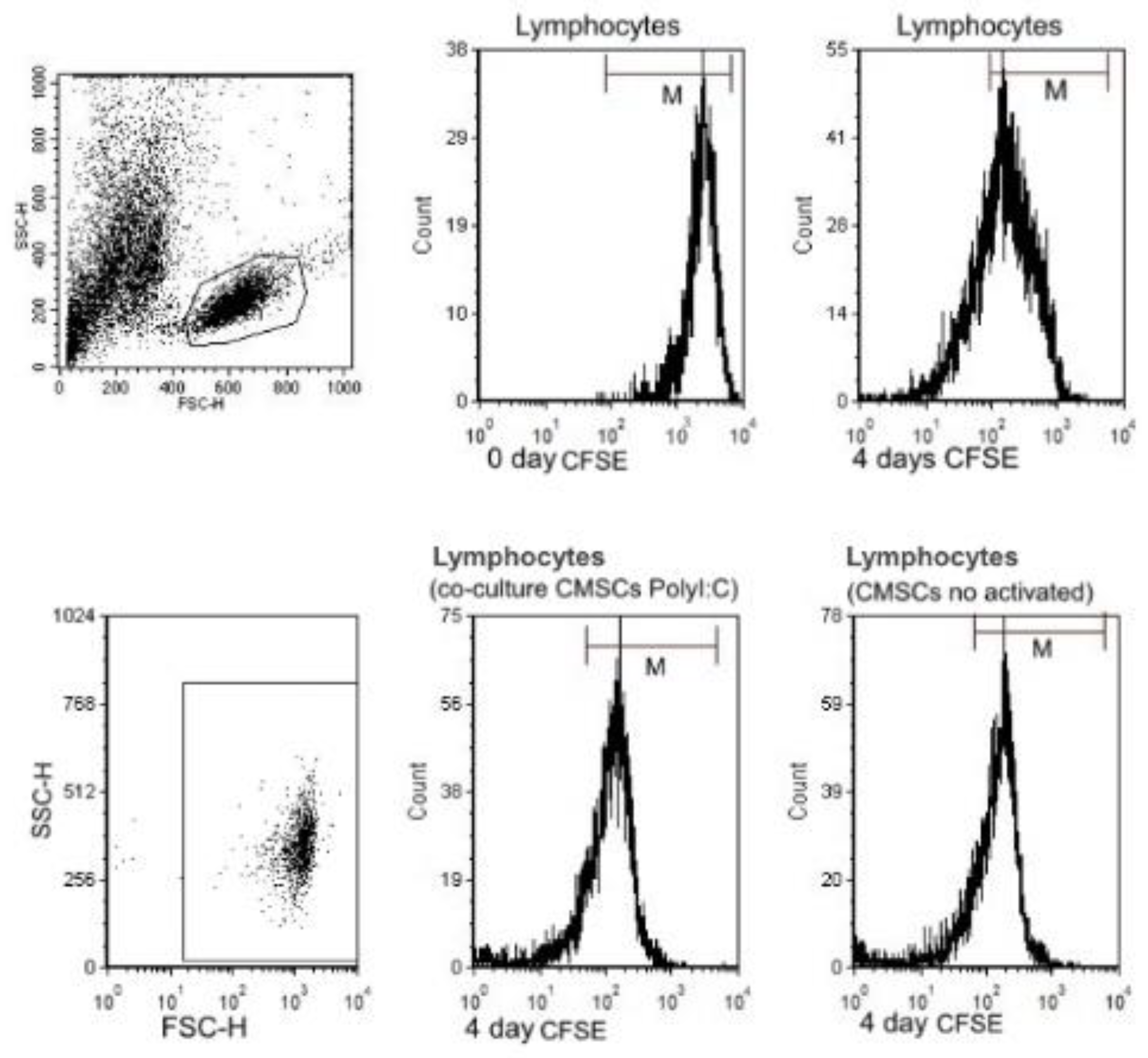 Applsci 10 09040 g006 Applsci 10 09040 g006