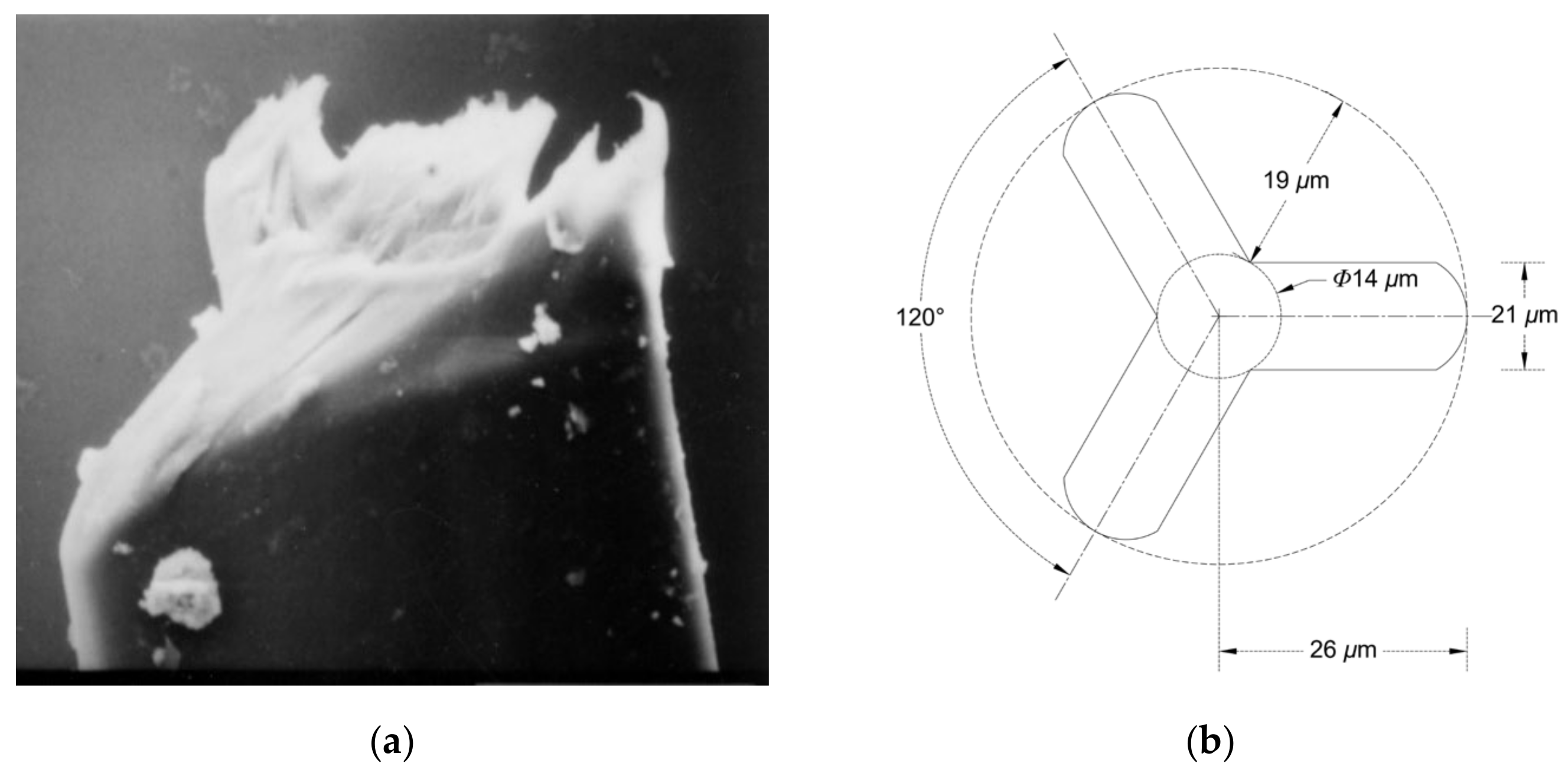 Applsci 10 09043 g002 Applsci 10 09043 g002