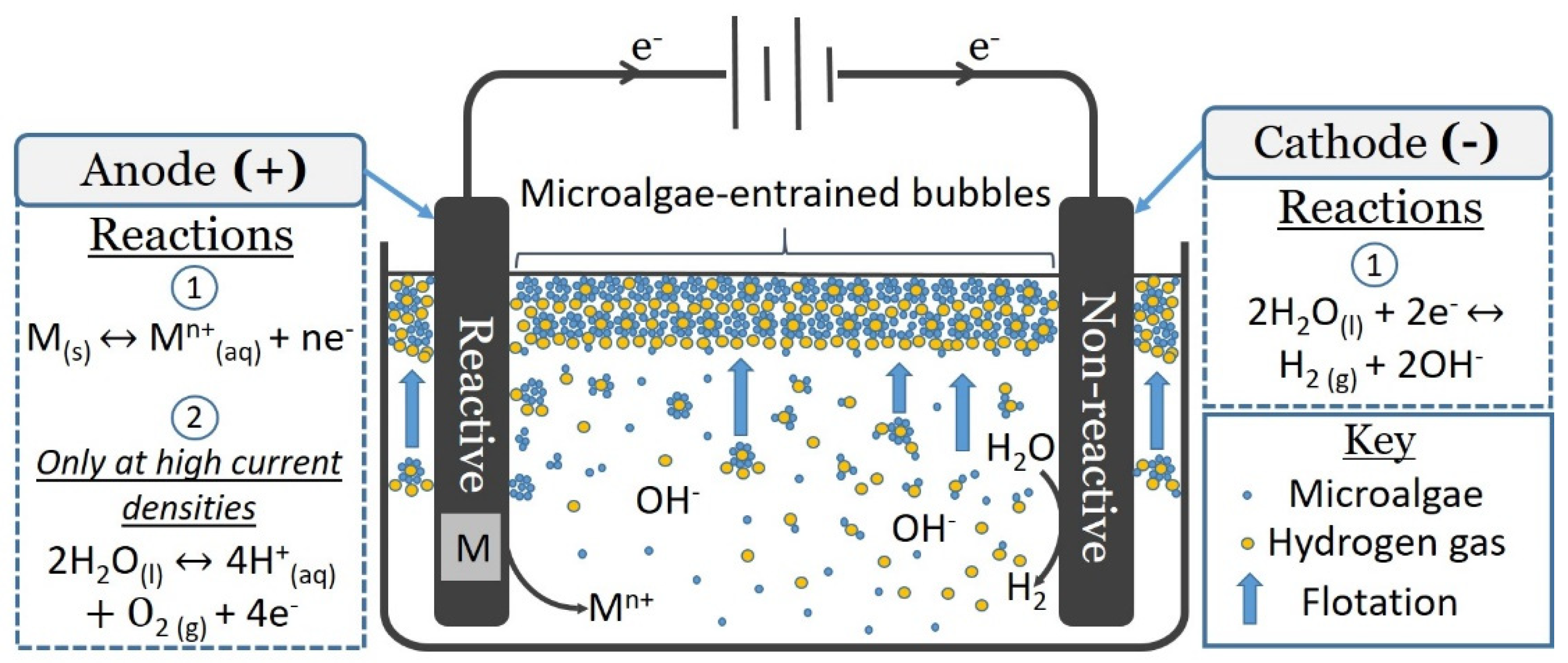 Applsci 10 09053 g002 Applsci 10 09053 g002