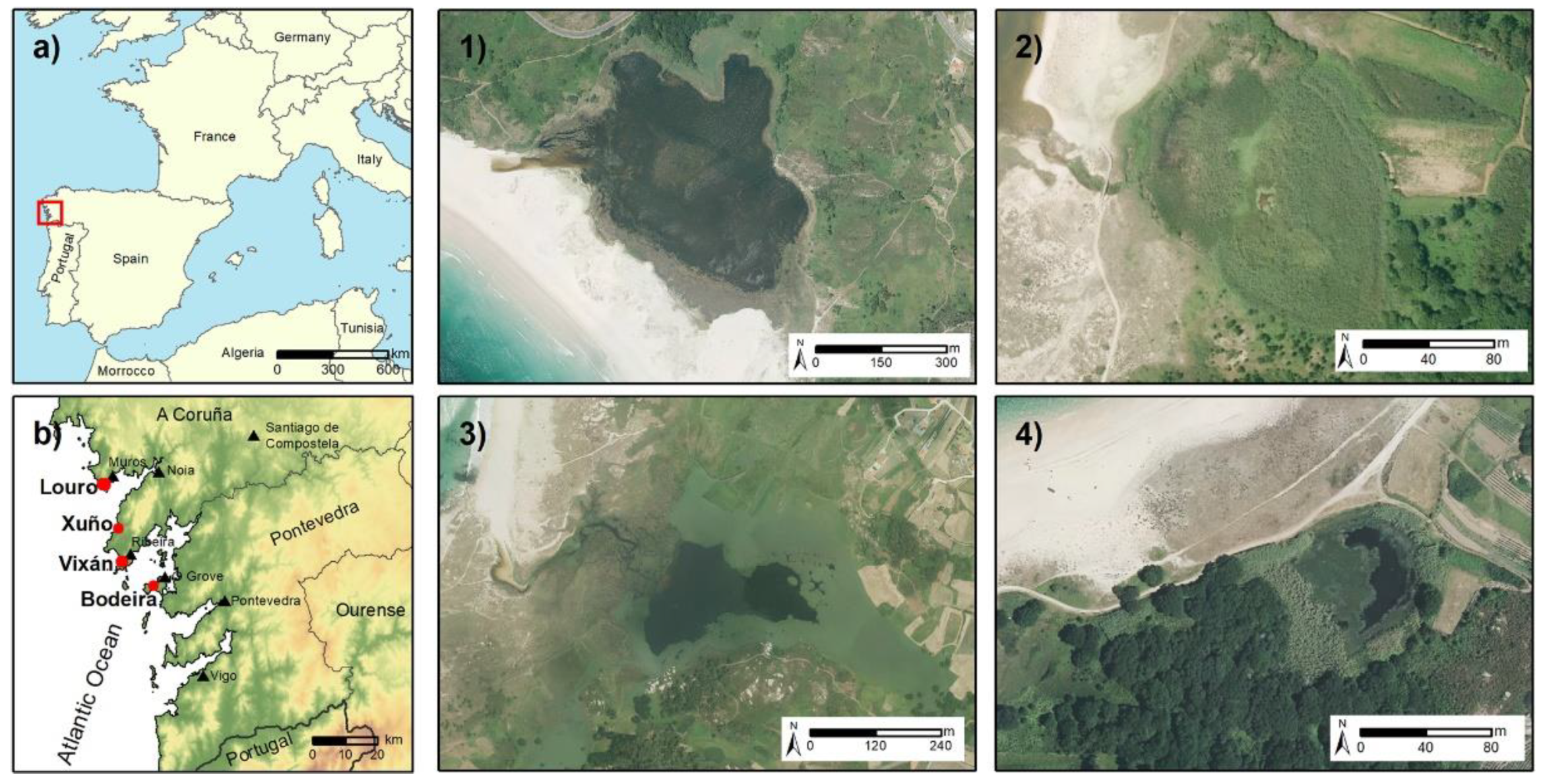 Applied Sciences Free Full Text Contribution Of Gis And Geochemical Proxies To Improving Habitat Identification And Delimitation For The Natura 00 Network The Case Of Coastal Lagoons In Galicia Nw Iberian