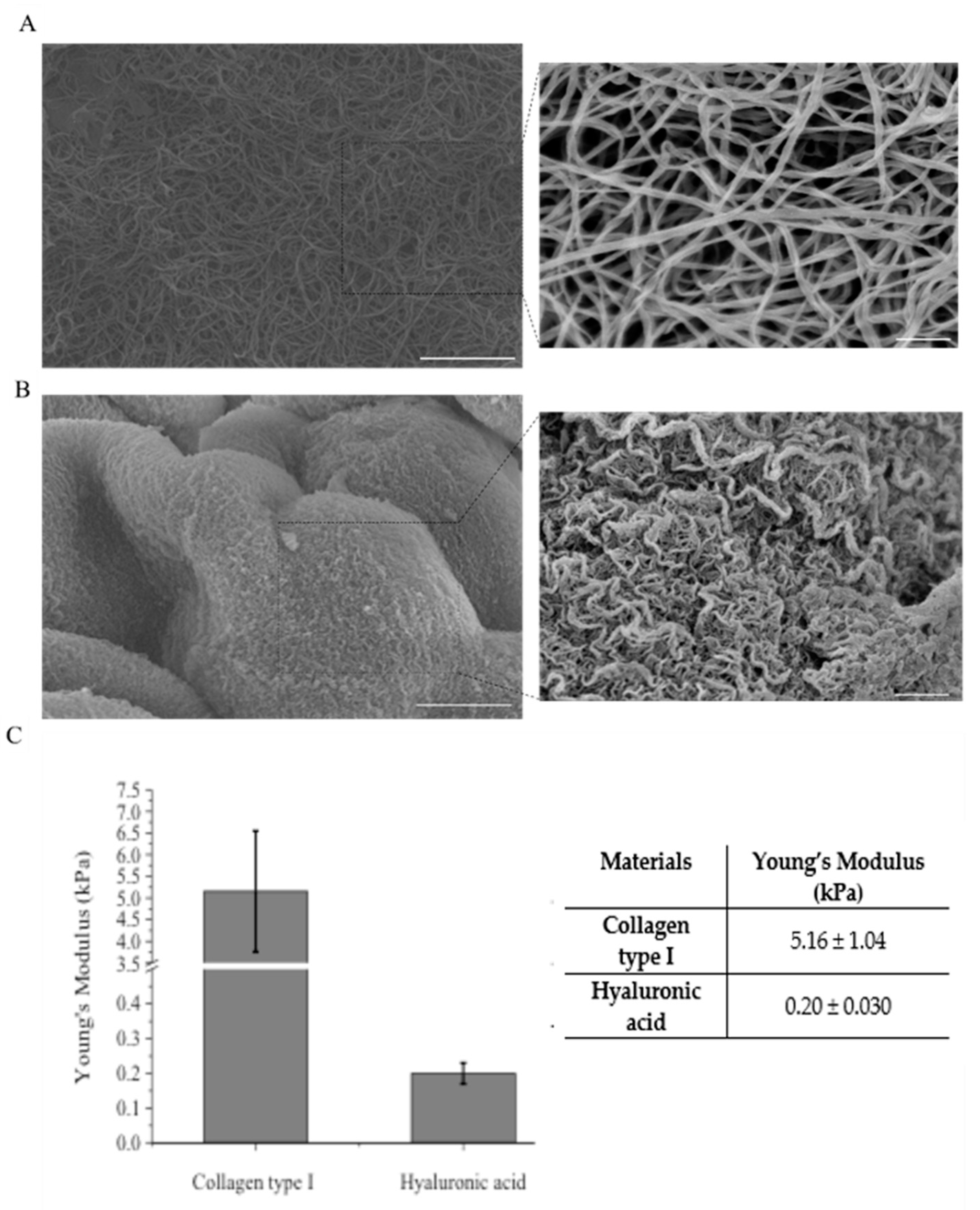 Applsci 10 09076 g004 Applsci 10 09076 g004