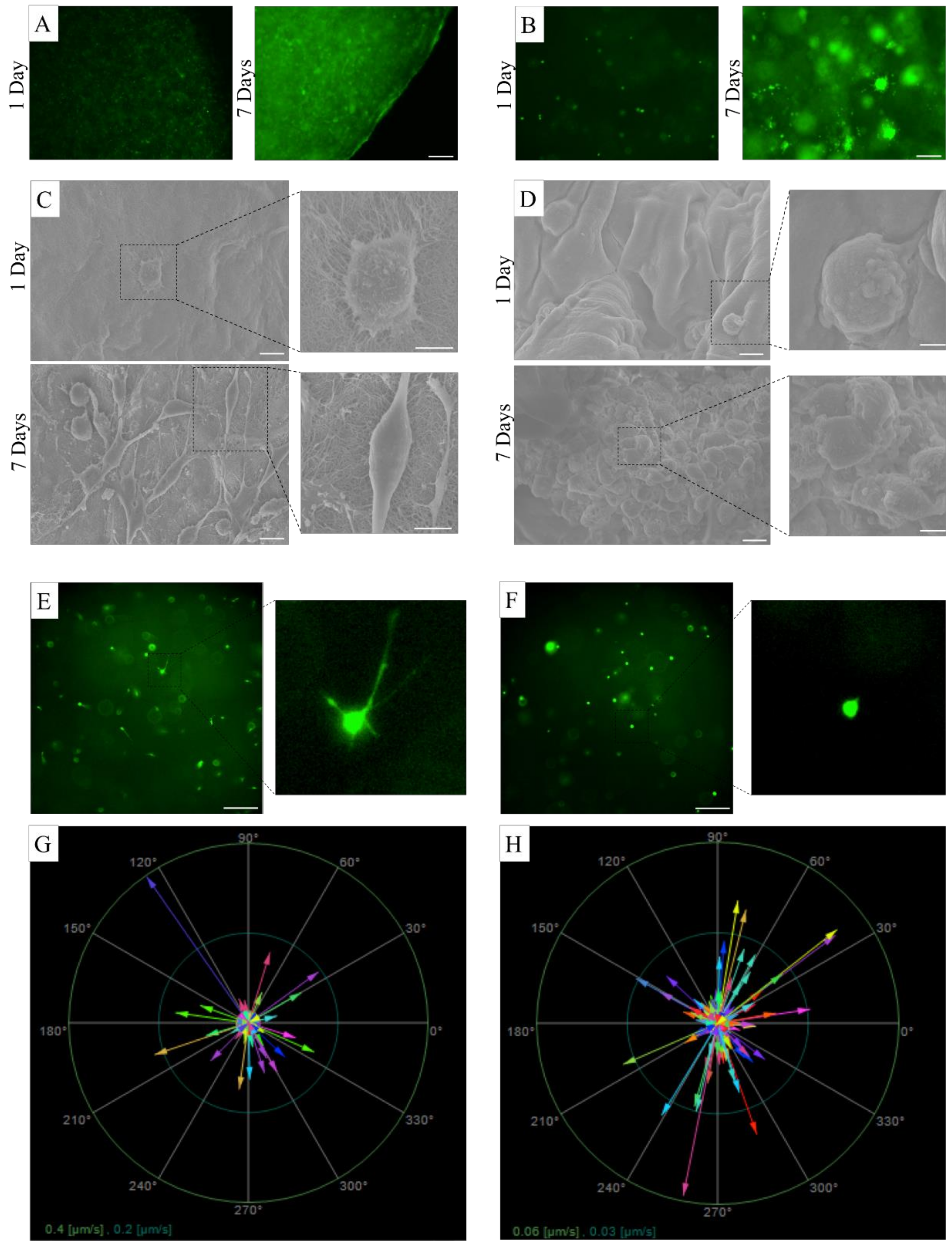 Applsci 10 09076 g005 Applsci 10 09076 g005